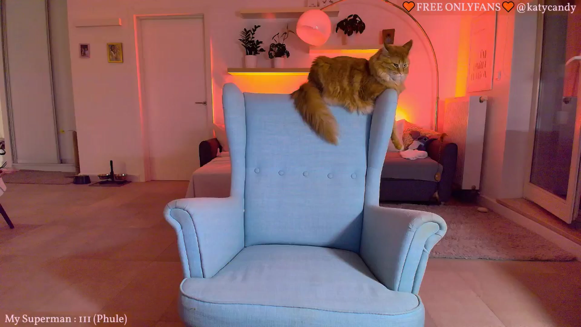 Gallery image thumbnail from KatyaFods's myfreecams stream on, 06/03/2024, 24:00 image 4 of 20