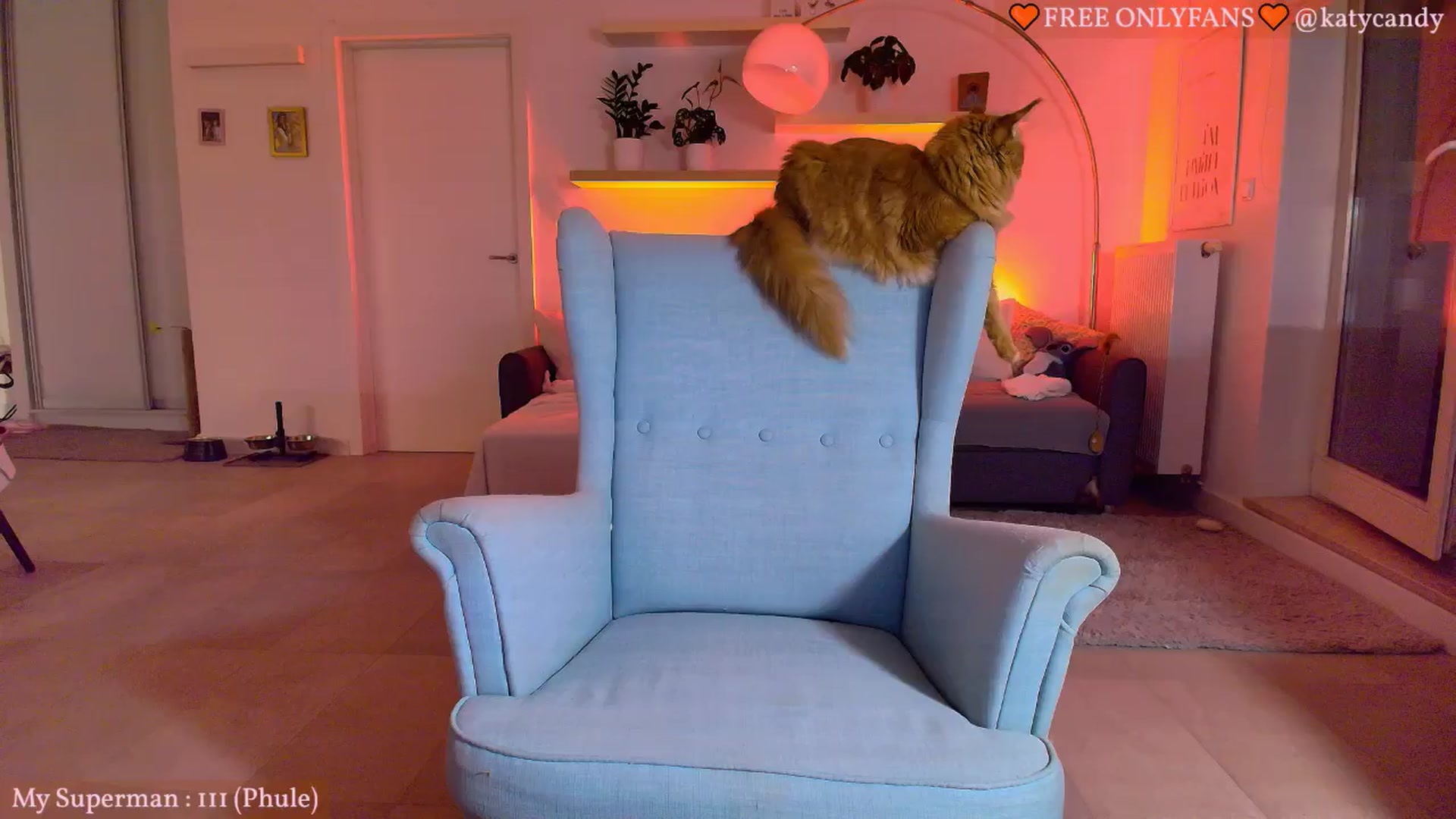 Gallery image thumbnail from KatyaFods's myfreecams stream on, 06/03/2024, 24:00 image 3 of 20