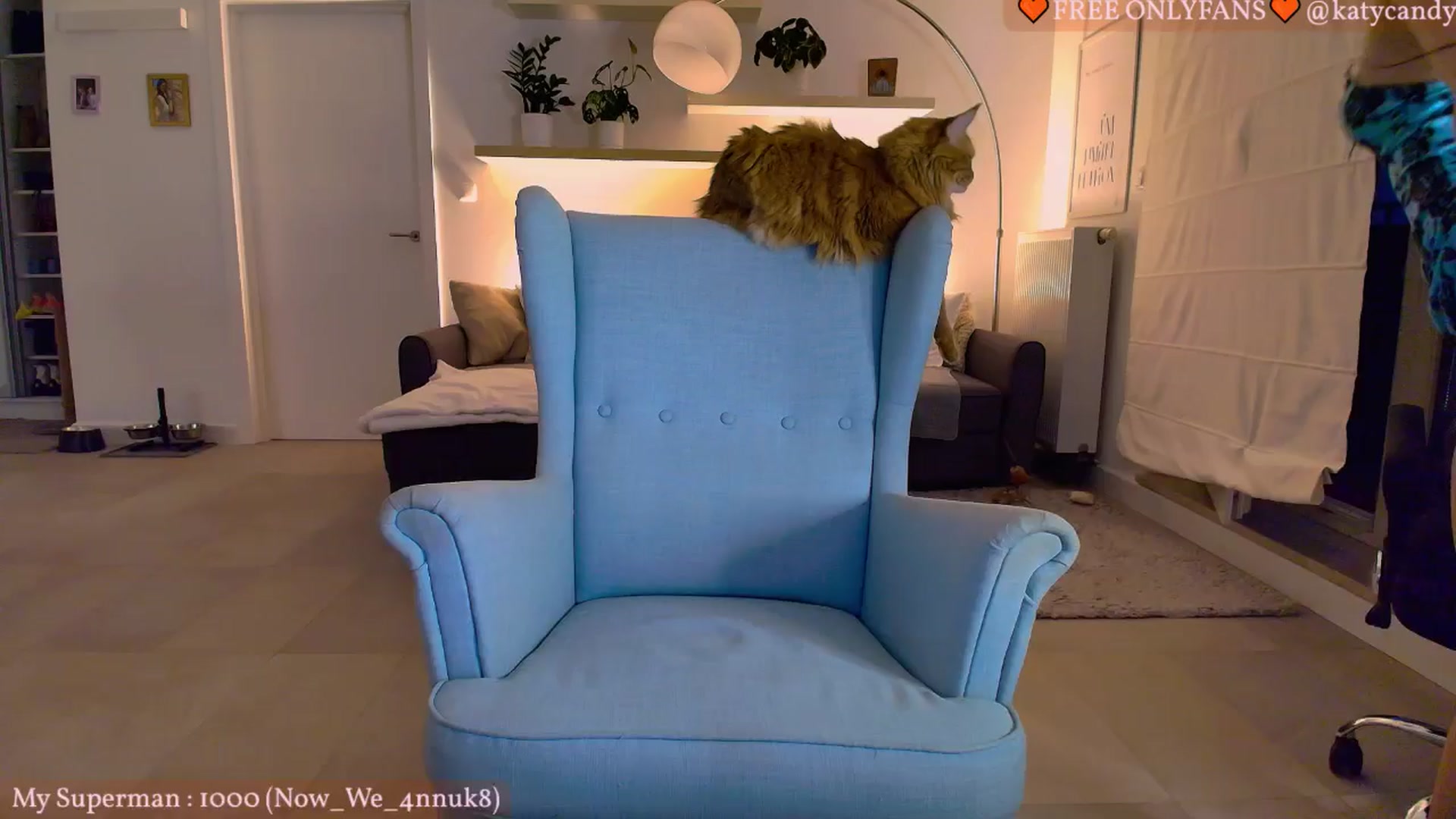 Gallery image thumbnail from KatyaFods's myfreecams stream on, 06/05/2024, 01:50 image 15 of 20