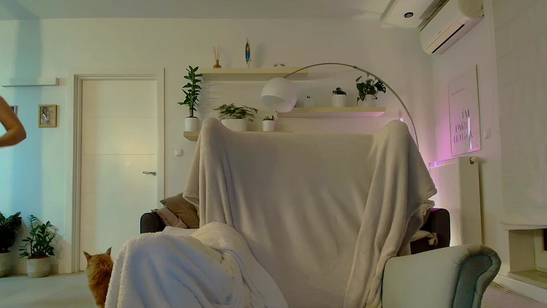 Gallery image thumbnail from KatyaFods's myfreecams stream on, 11/13/2024, 02:01 image 20 of 20