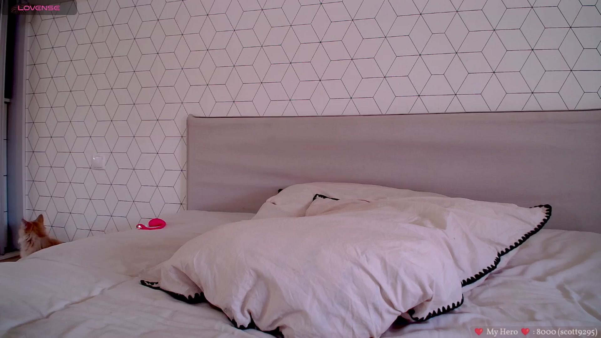 Gallery image thumbnail from KatyaFods's myfreecams stream on, 03/12/2026, 09:18 image 5 of 20