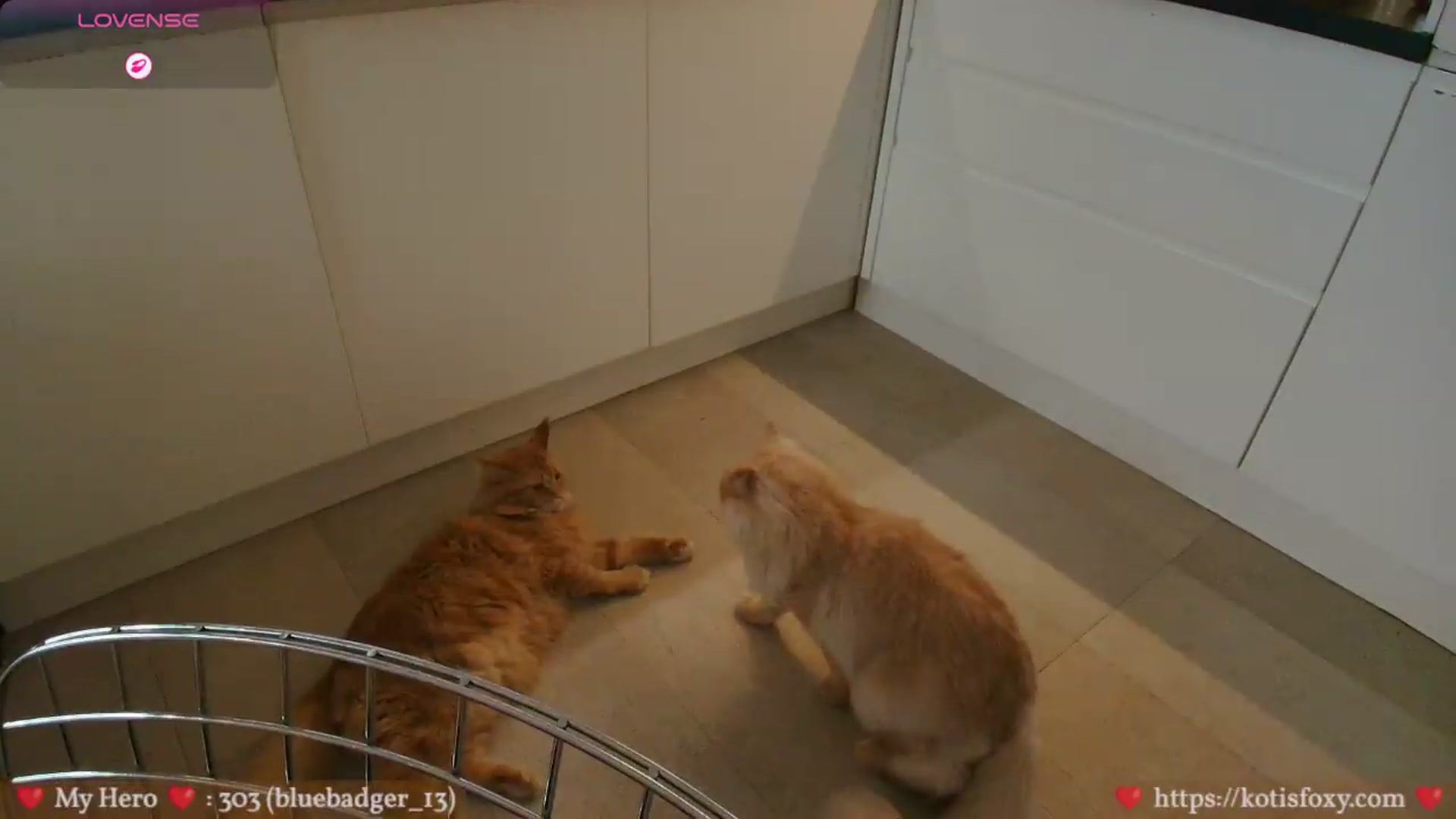 Gallery image thumbnail from KatyaFods's myfreecams stream on, 07/05/2026, 01:01 image 15 of 20