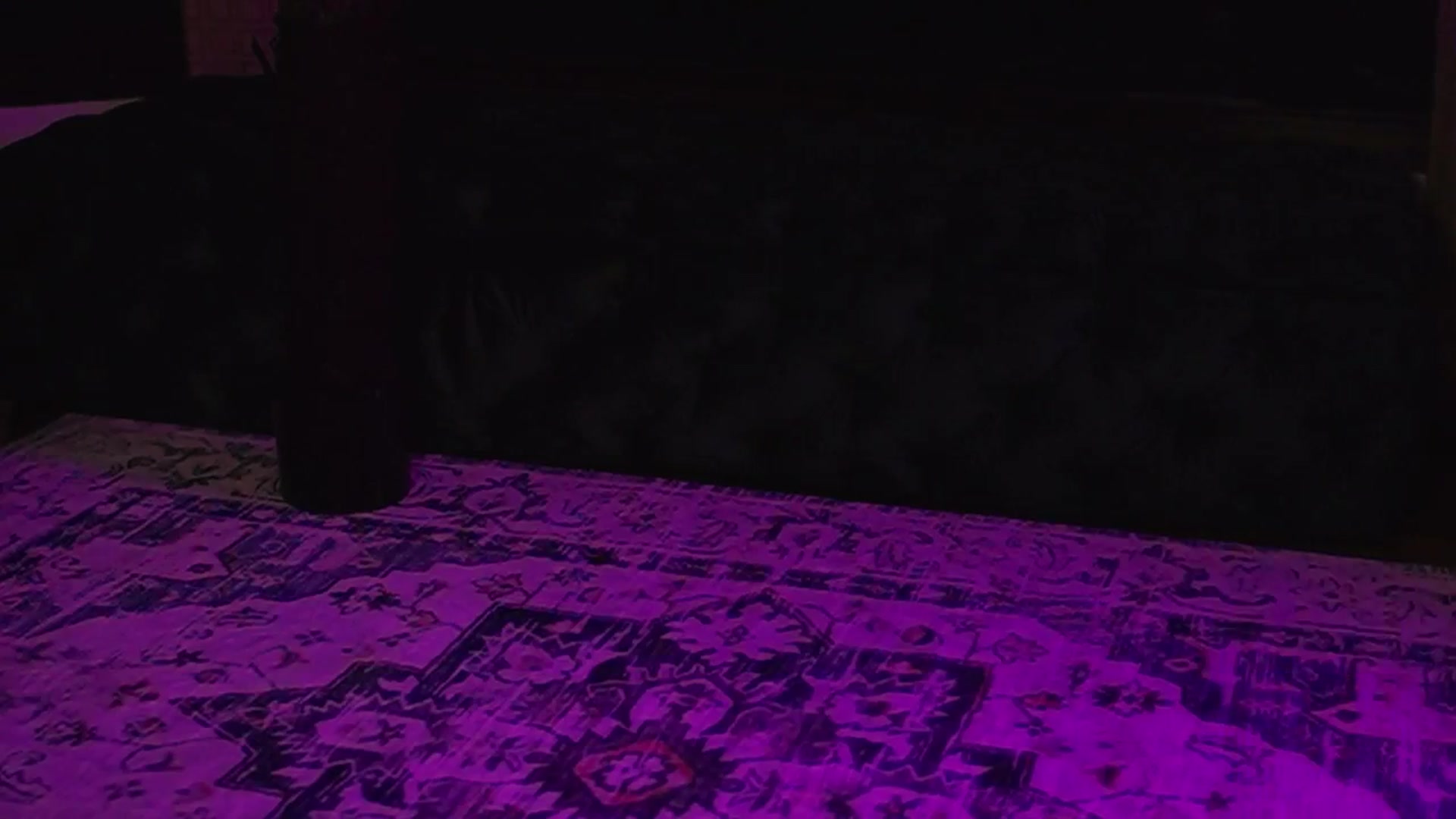 Gallery image thumbnail from KatyeRave's myfreecams stream on, 08/27/2025, 04:04 image 7 of 20