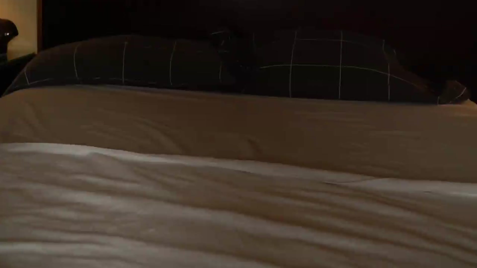 Gallery image thumbnail from KatyeRave's myfreecams stream on, 07/20/2026, 20:33 image 11 of 20