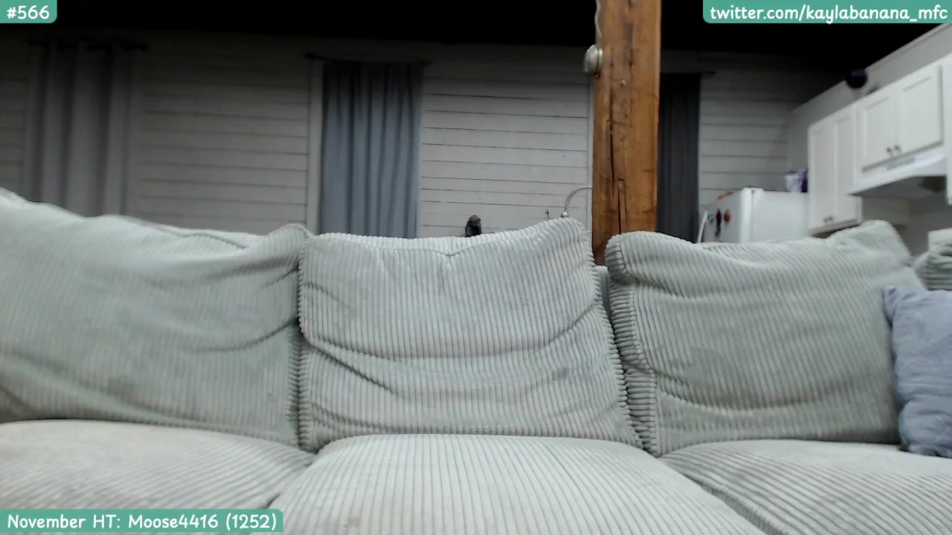Gallery image thumbnail from KaylaBanana's myfreecams stream on, 11/29/2024, 10:24 image 5 of 20