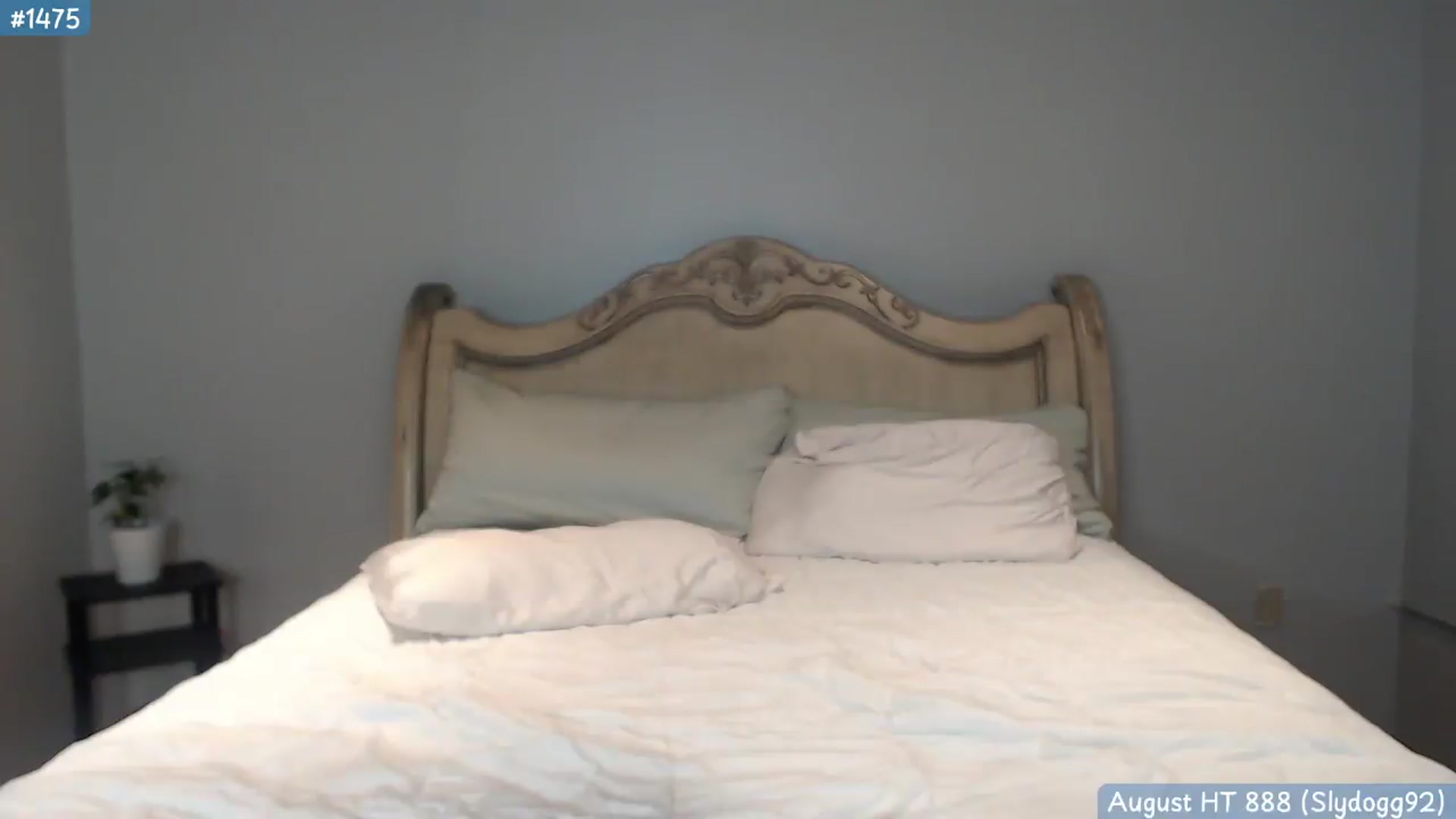 Gallery image thumbnail from KaylaBanana's myfreecams stream on, 08/25/2026, 06:12 image 2 of 20