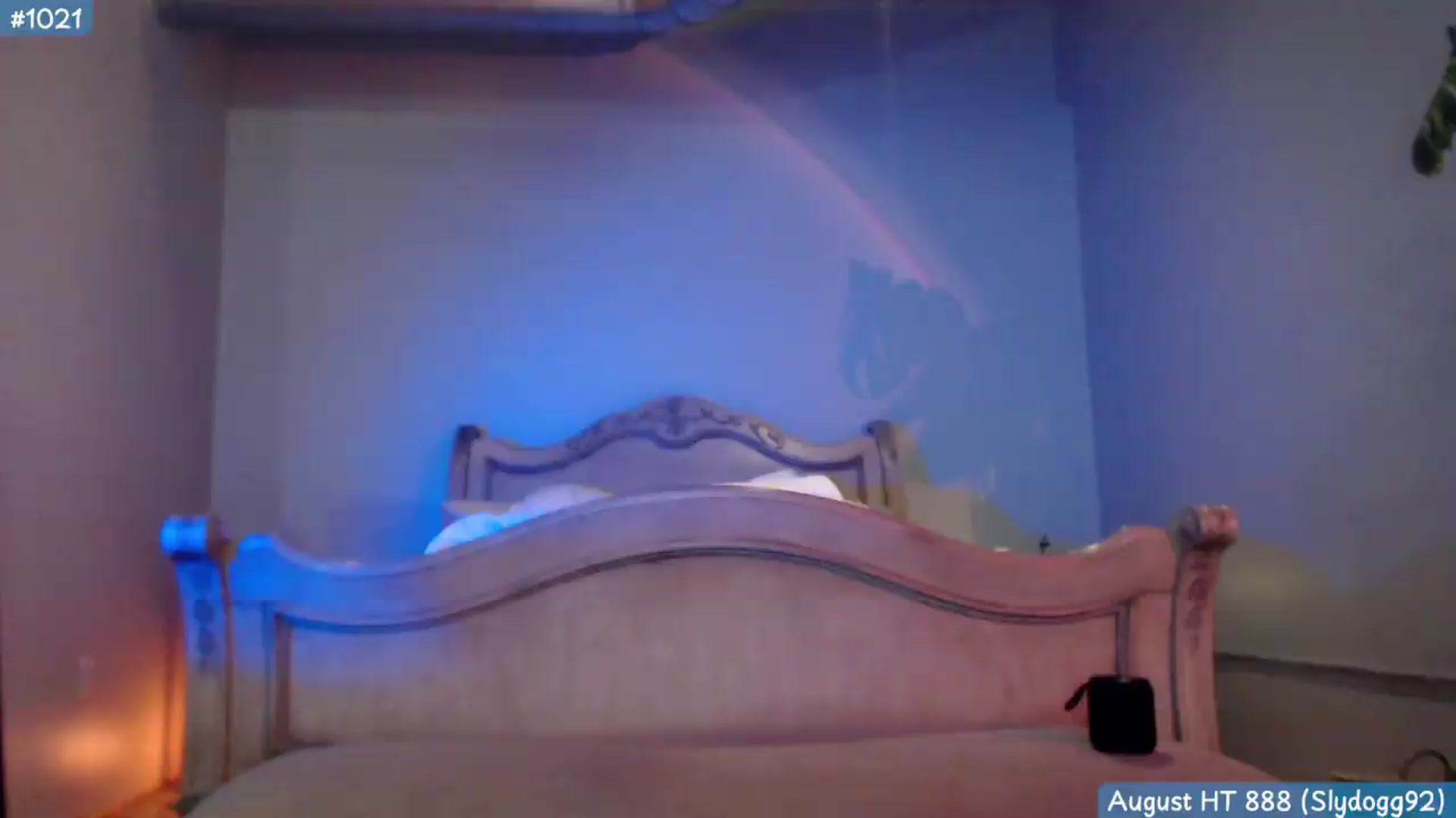 Gallery image thumbnail from KaylaBanana's myfreecams stream on, 08/30/2026, 08:55 image 18 of 20