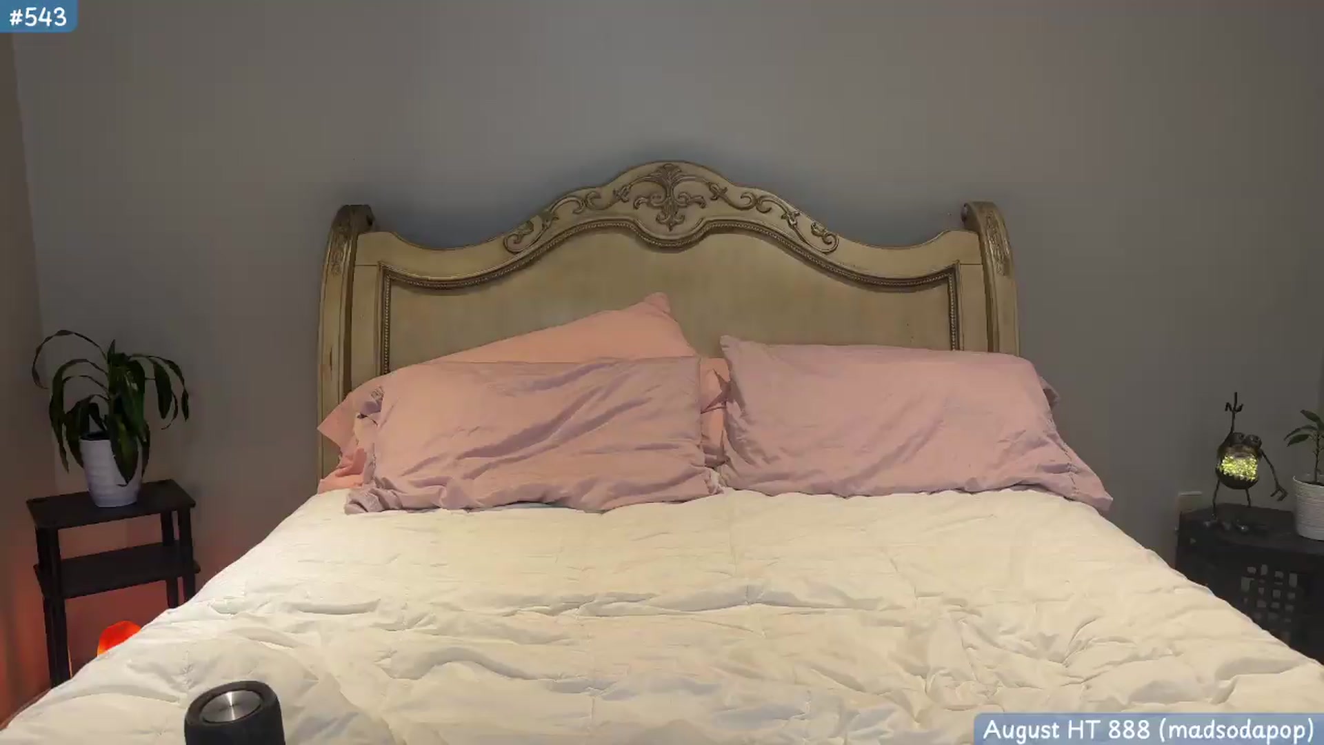 Gallery image thumbnail from KaylaBanana's myfreecams stream on, 09/09/2026, 05:50 image 5 of 20