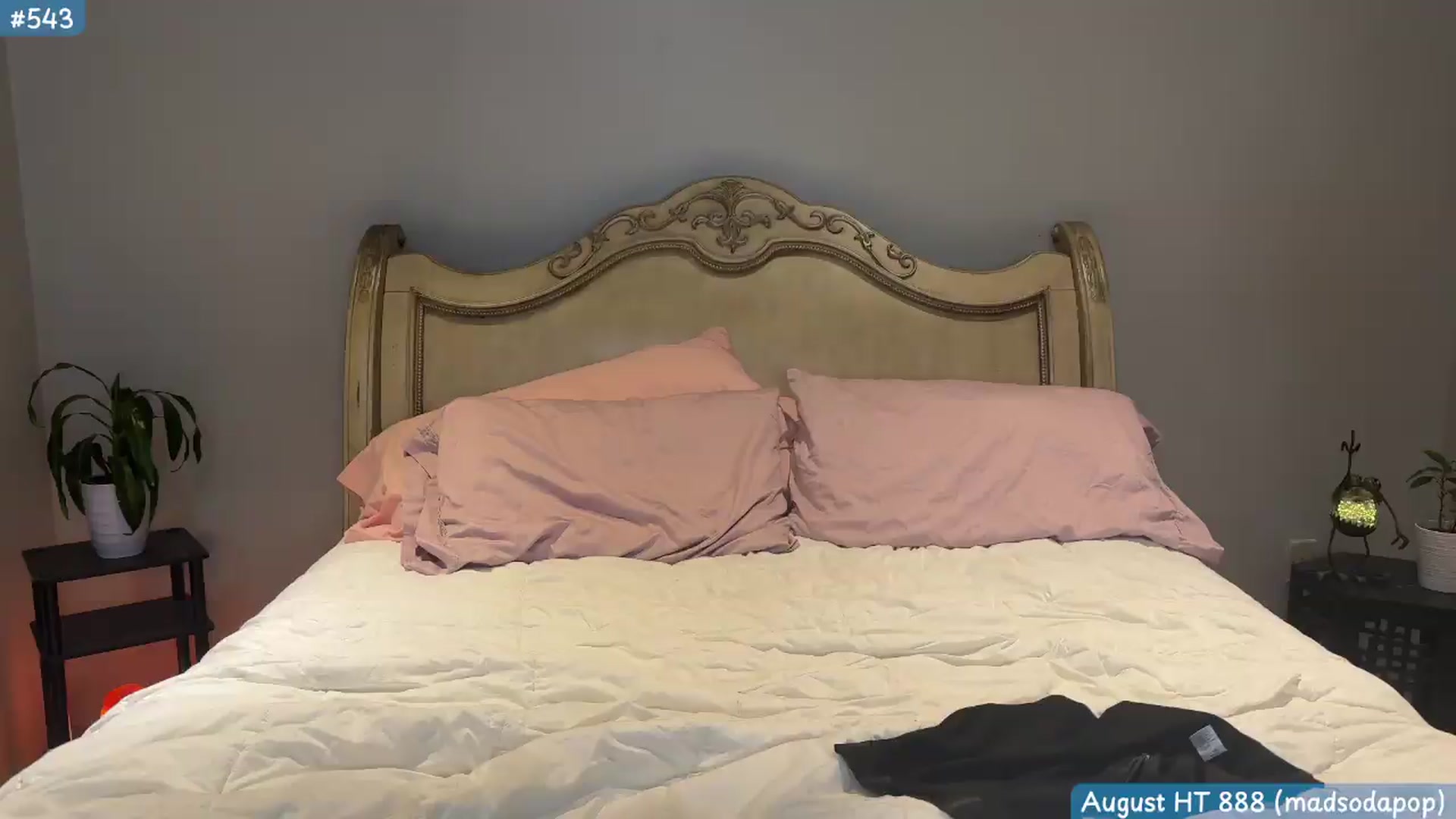 Gallery image thumbnail from KaylaBanana's myfreecams stream on, 09/09/2026, 05:50 image 16 of 20