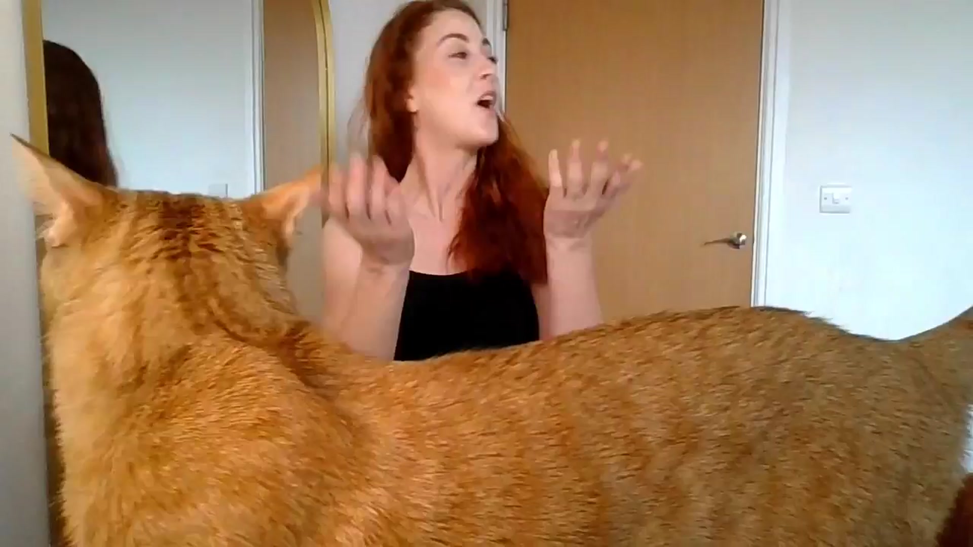 Gallery image thumbnail from KayleyxEmily's myfreecams stream on, 06/15/2024, 11:42 image 11 of 20