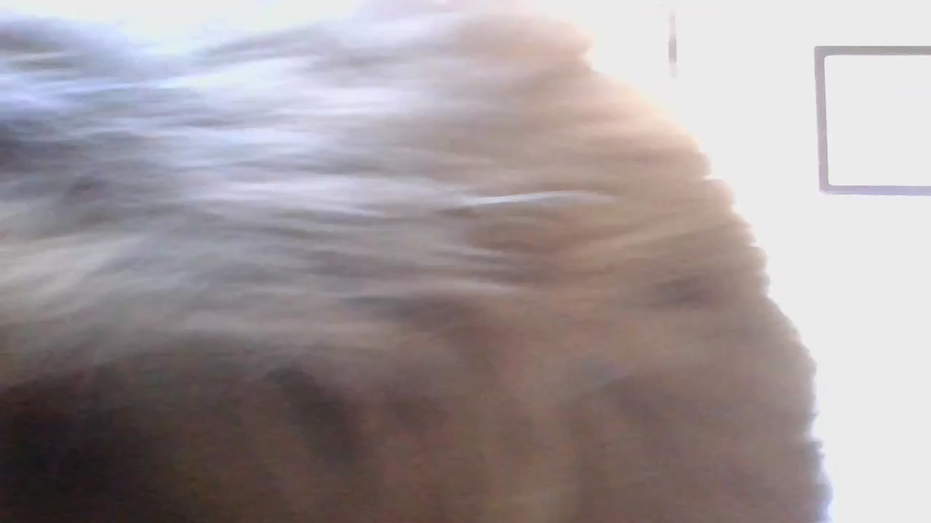 Gallery image thumbnail from KayleyxEmily's myfreecams stream on, 07/29/2024, 12:37 image 2 of 20