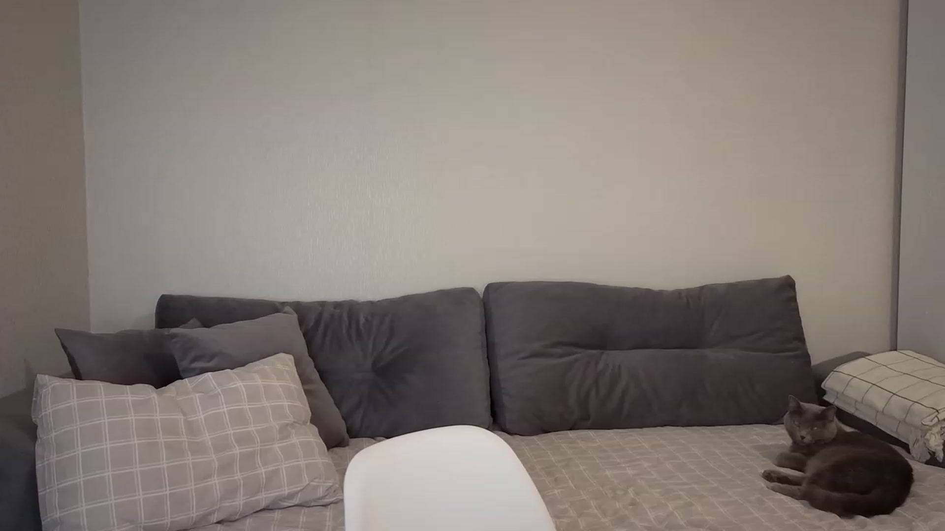 Gallery image thumbnail from KeepSpark's myfreecams stream on, 12/12/2023, 17:36 image 15 of 20