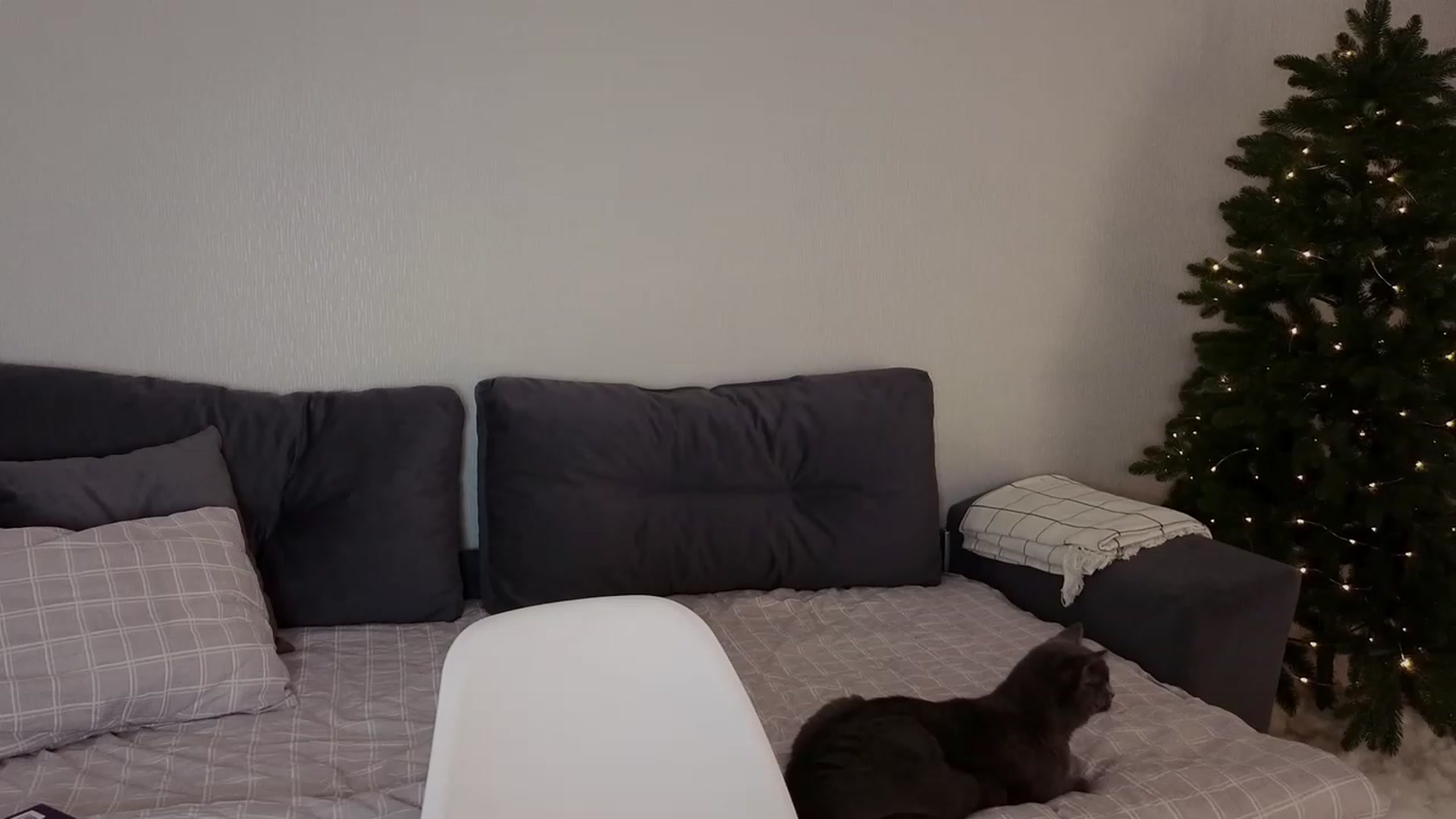 Gallery image thumbnail from KeepSpark's myfreecams stream on, 12/16/2023, 19:55 image 12 of 20