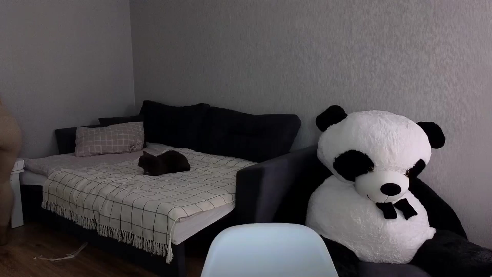 Gallery image thumbnail from KeepSpark's myfreecams stream on, 05/28/2024, 07:10 image 10 of 20