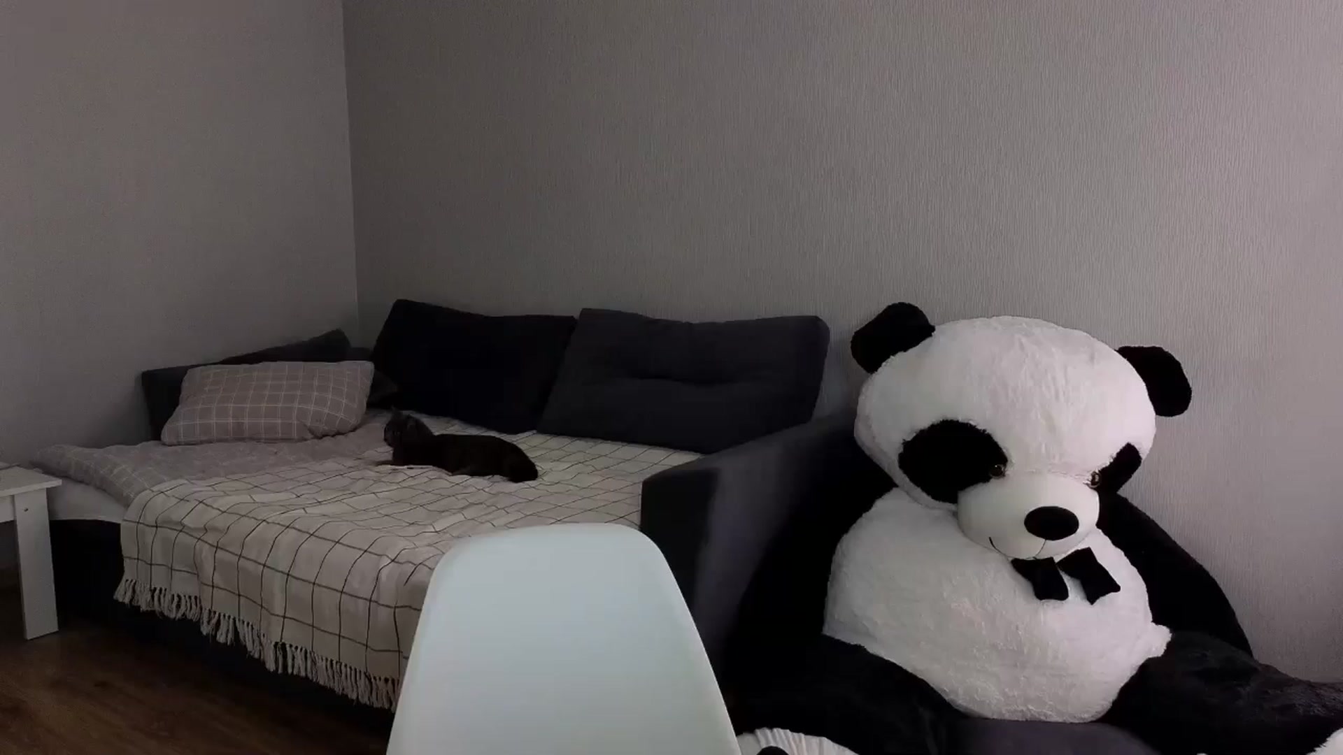 Gallery image thumbnail from KeepSpark's myfreecams stream on, 05/29/2024, 06:45 image 13 of 20
