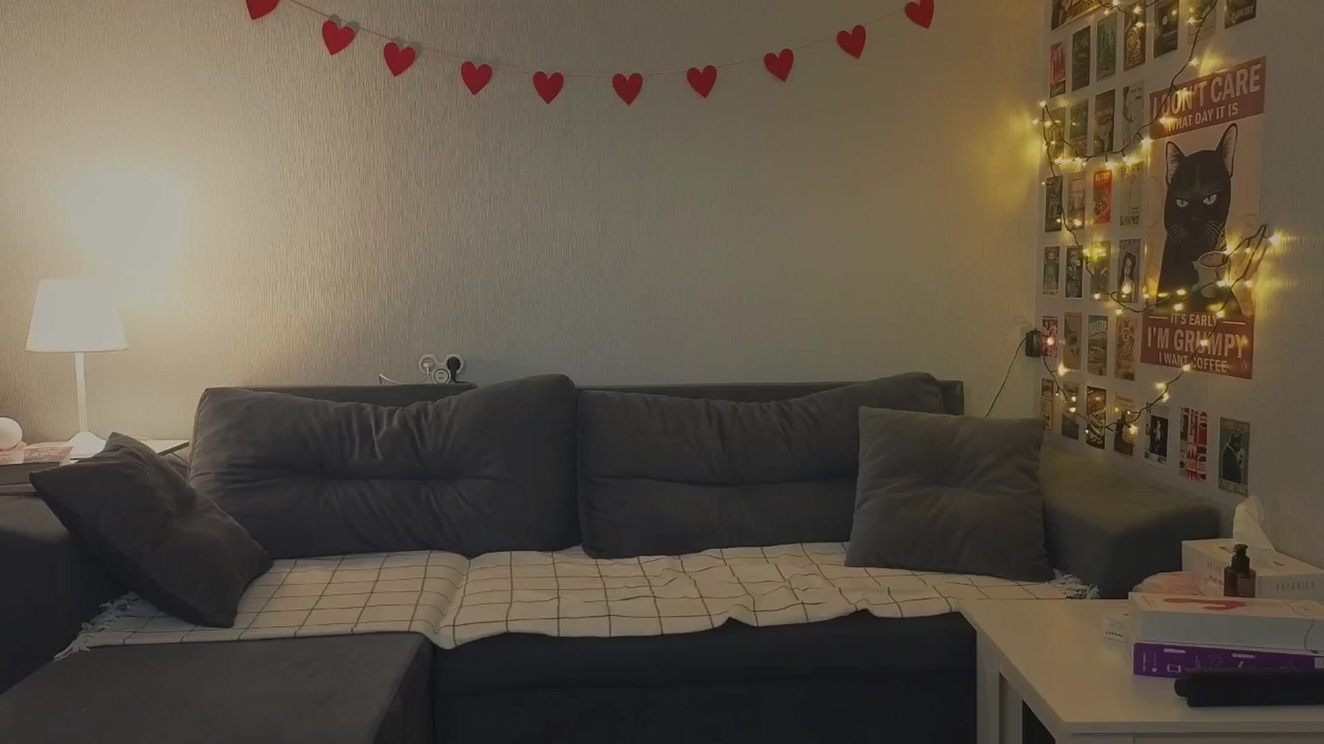 Gallery image thumbnail from KeepSpark's myfreecams stream on, 11/29/2024, 18:03 image 7 of 20
