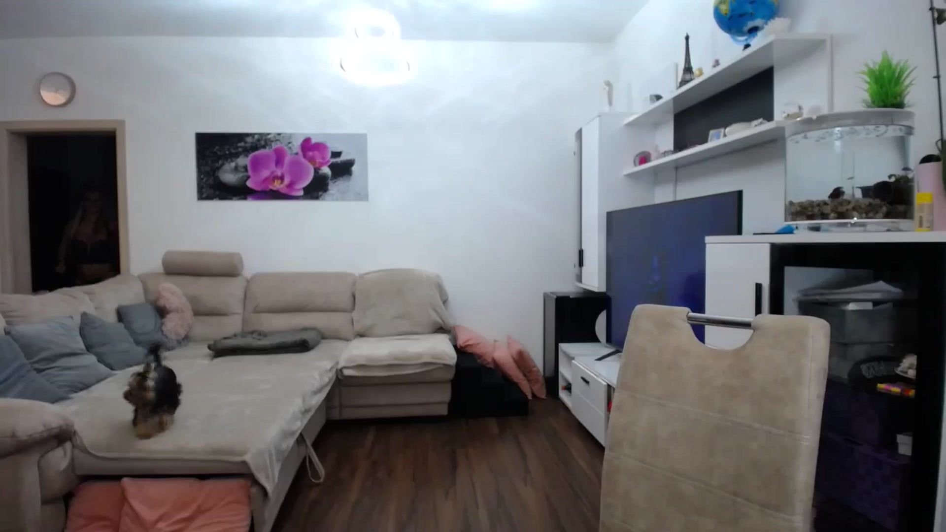 Gallery image thumbnail from KeissyKate's myfreecams stream on, 10/27/2024, 04:14 image 8 of 20