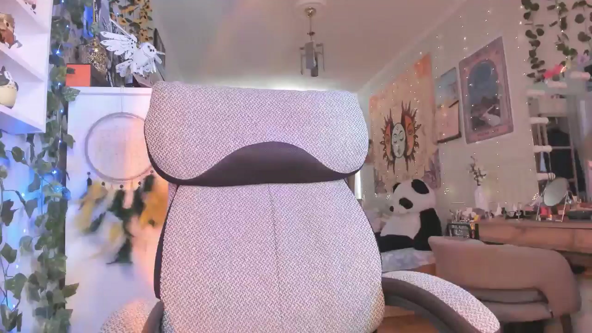 Gallery image thumbnail from KellyAsian's myfreecams stream on, 07/26/2024, 08:59 image 9 of 20