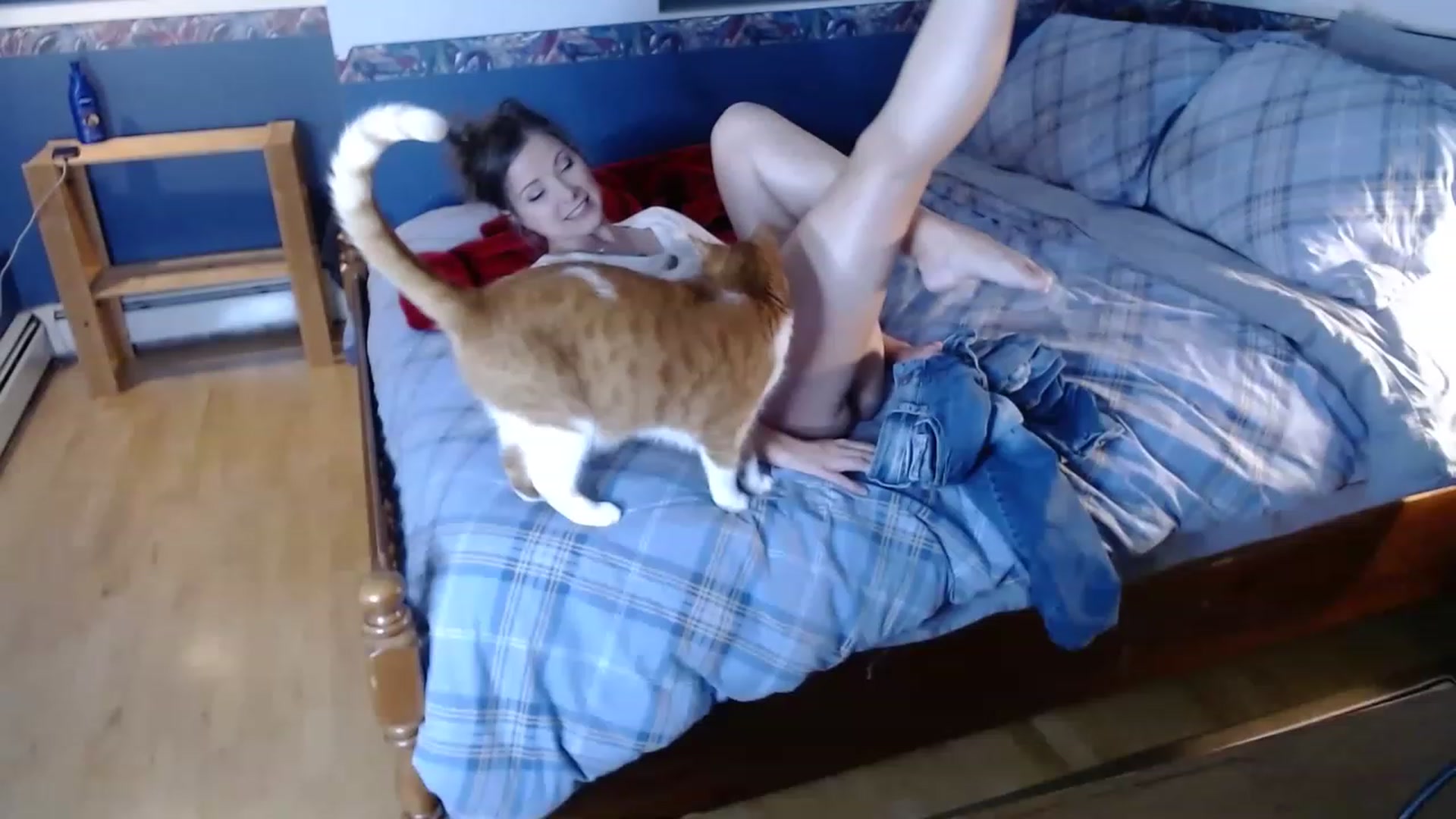 Gallery image thumbnail from KellyHeart's myfreecams stream on, 11/19/2022, 02:27 image 6 of 20