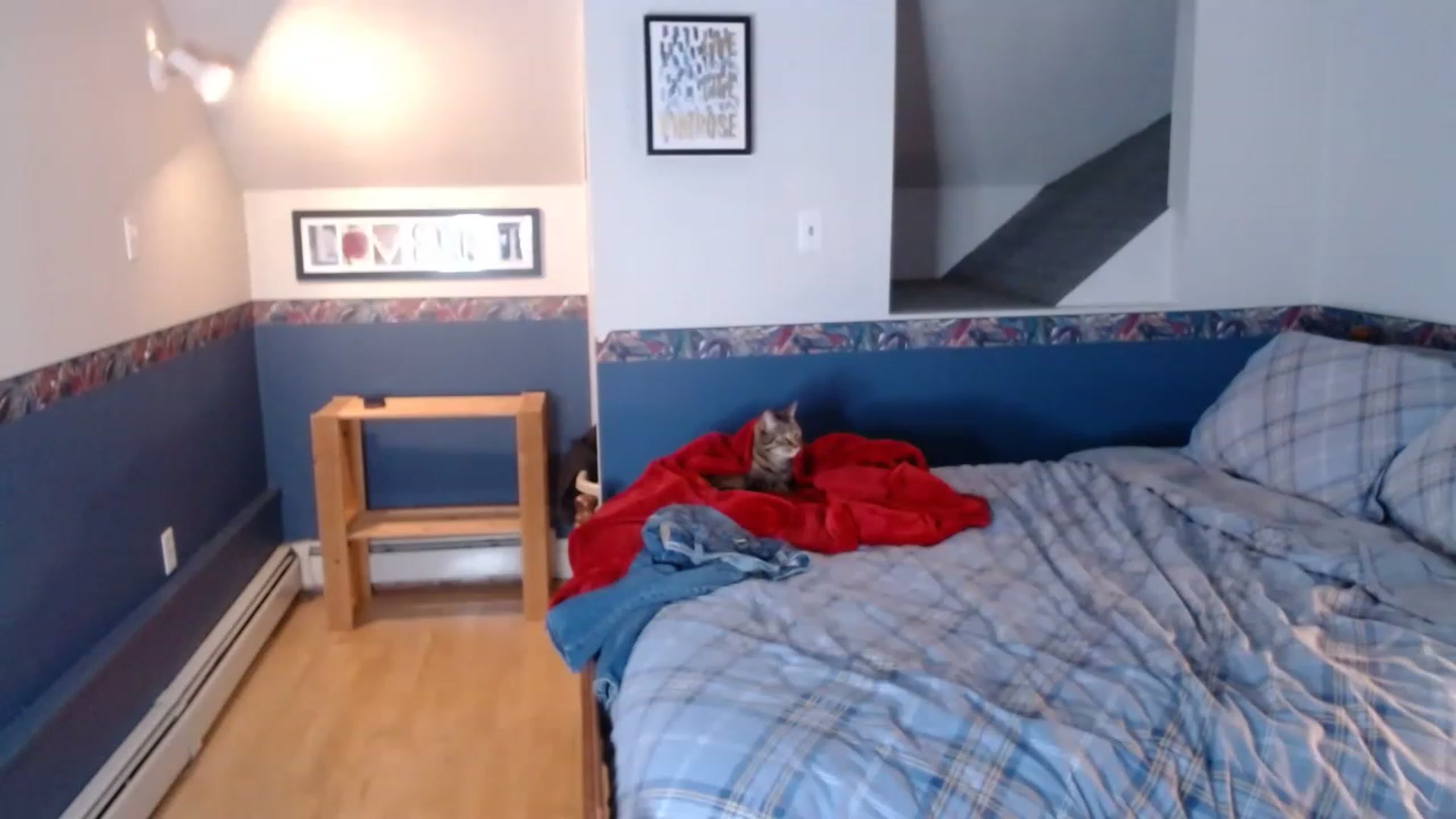Gallery image thumbnail from KellyHeart's myfreecams stream on, 11/19/2022, 04:52 image 9 of 20