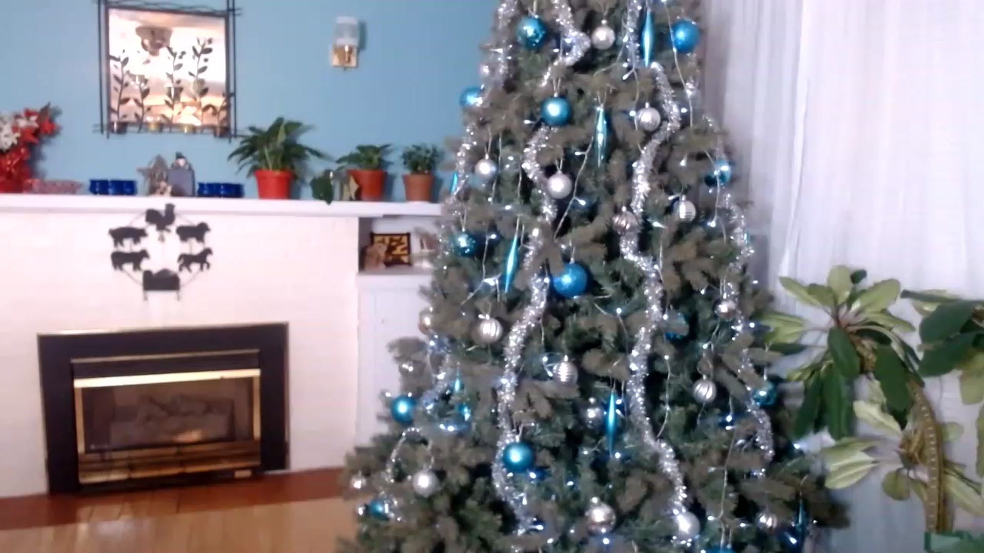 Gallery image thumbnail from KellyHeart's myfreecams stream on, 12/31/2022, 04:17 image 3 of 20