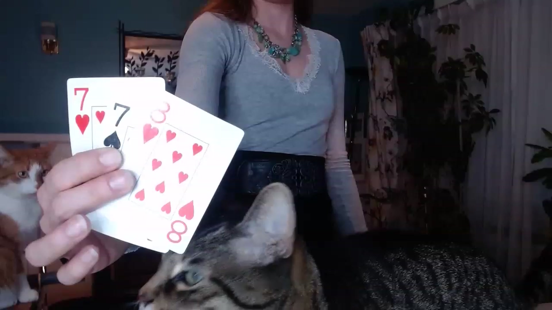 Gallery image thumbnail from KellyHeart's myfreecams stream on, 01/14/2023, 02:03 image 18 of 20
