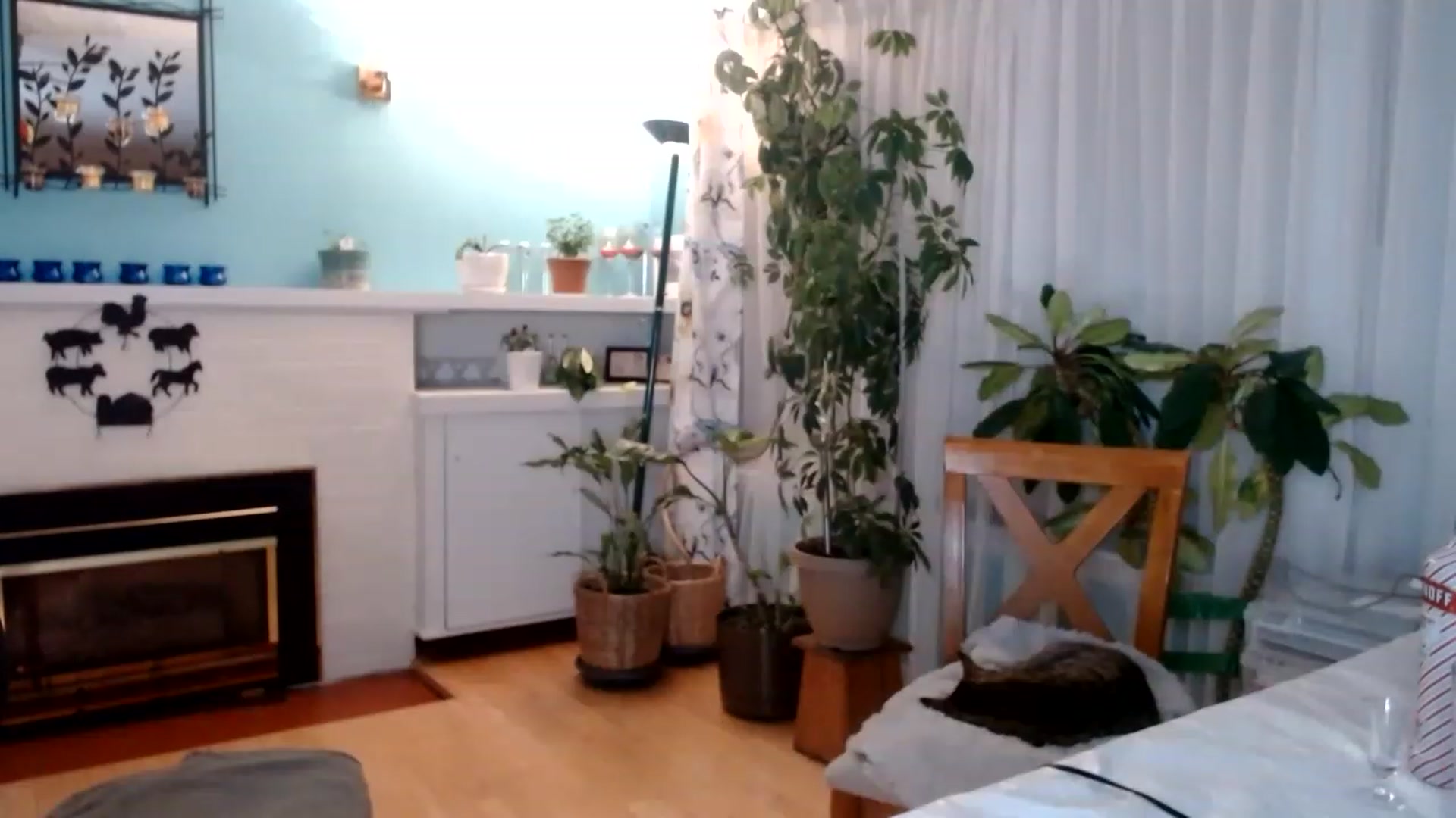 Gallery image thumbnail from KellyHeart's myfreecams stream on, 01/21/2023, 07:49 image 16 of 20