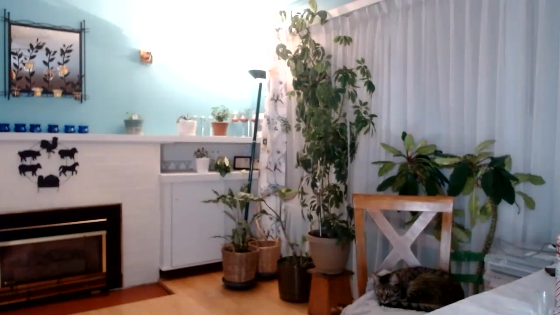Gallery image thumbnail from KellyHeart's myfreecams stream on, 01/21/2023, 07:49 image 10 of 20