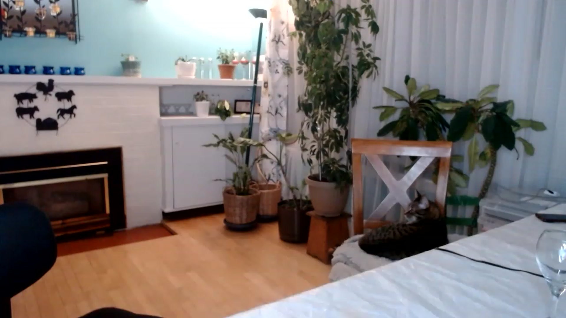 Gallery image thumbnail from KellyHeart's myfreecams stream on, 01/21/2023, 07:49 image 2 of 20