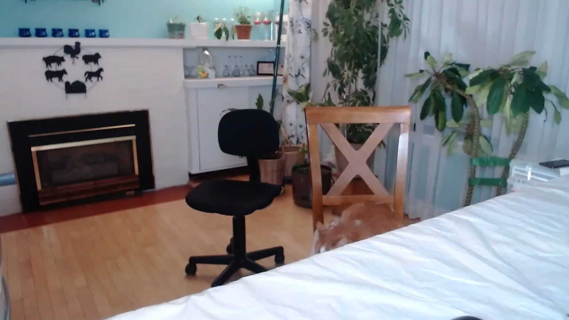 Gallery image thumbnail from KellyHeart's myfreecams stream on, 02/01/2023, 04:01 image 1 of 20