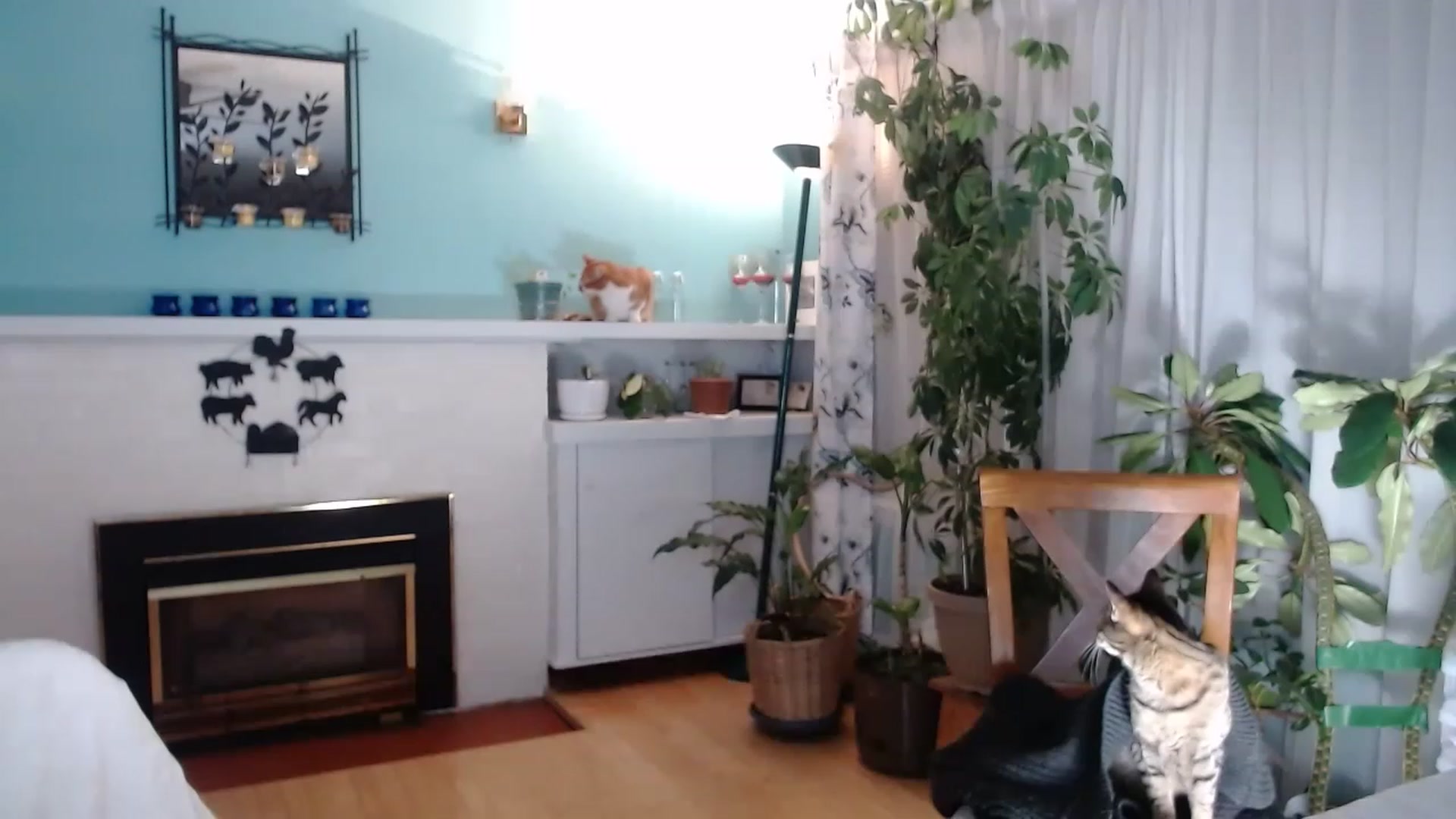 Gallery image thumbnail from KellyHeart's myfreecams stream on, 02/04/2023, 03:46 image 16 of 20