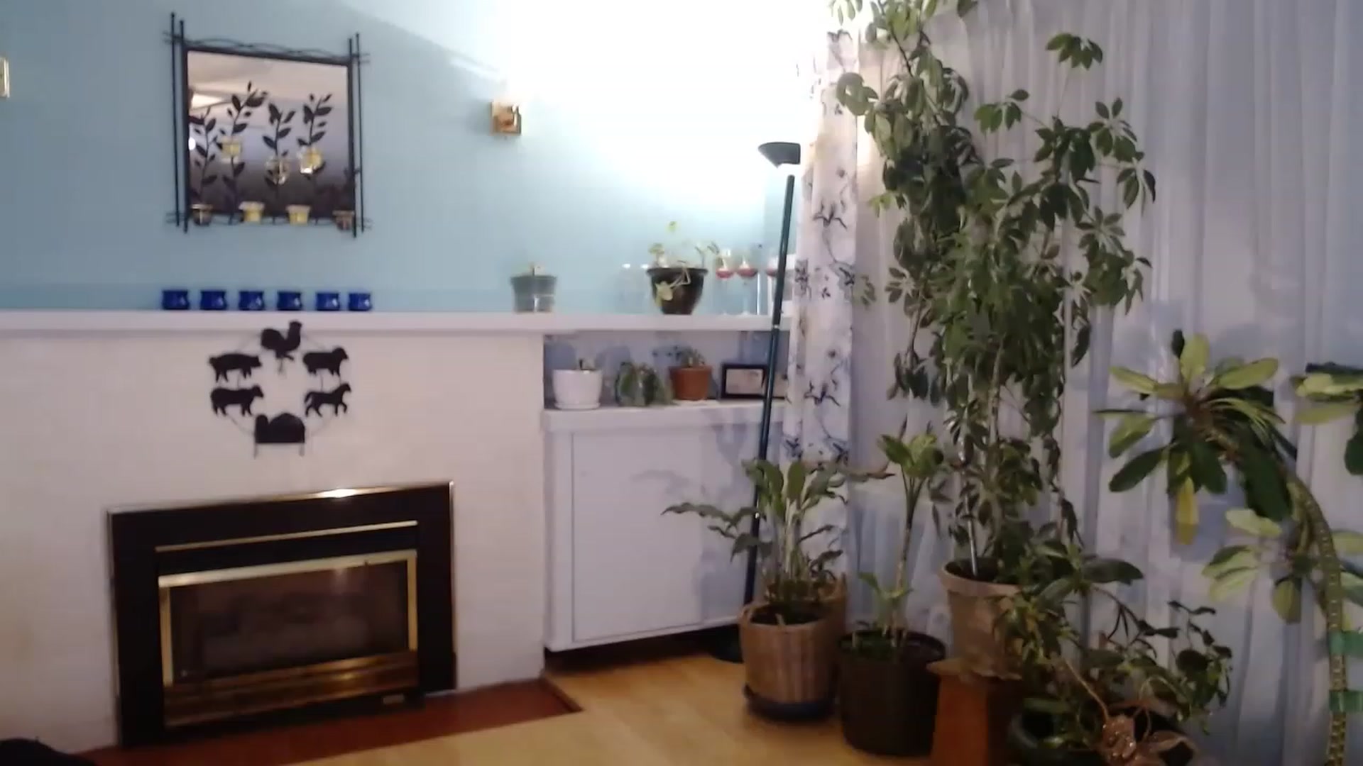 Gallery image thumbnail from KellyHeart's myfreecams stream on, 02/11/2023, 05:59 image 8 of 20
