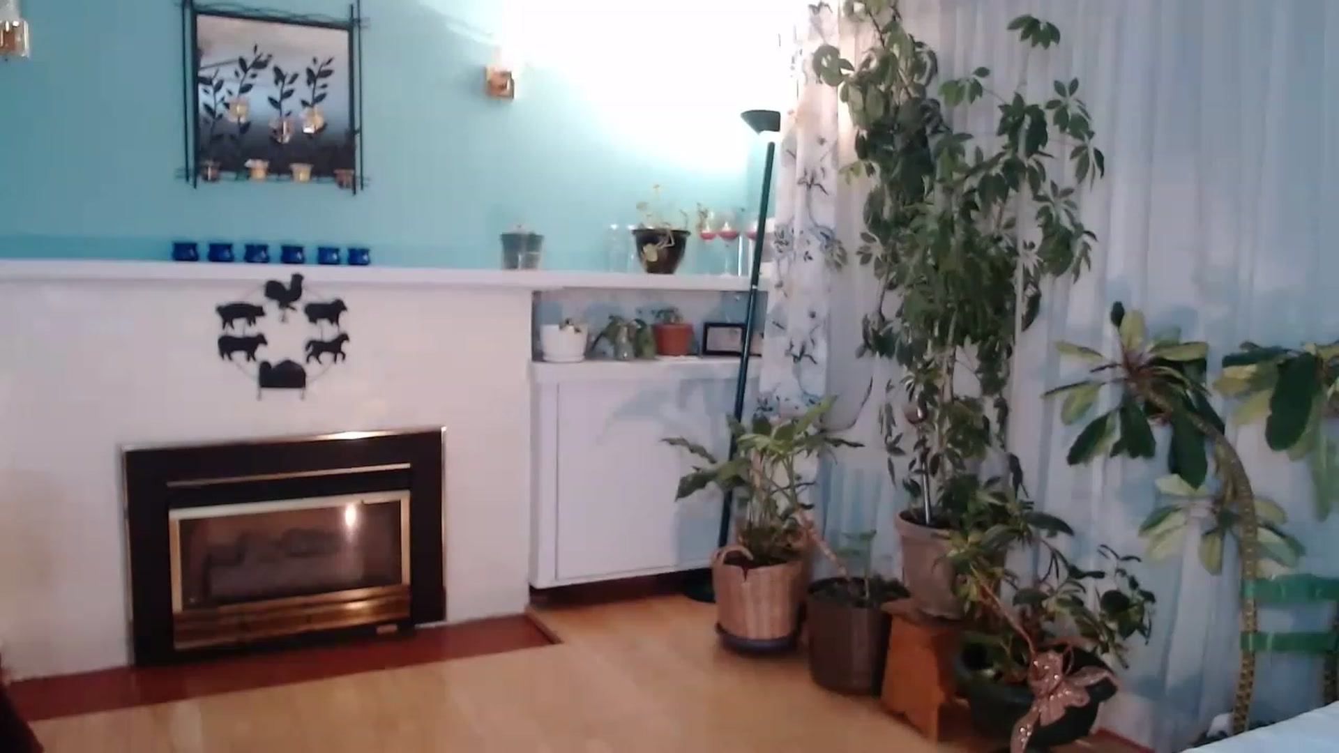 Gallery image thumbnail from KellyHeart's myfreecams stream on, 02/18/2023, 03:39 image 9 of 20