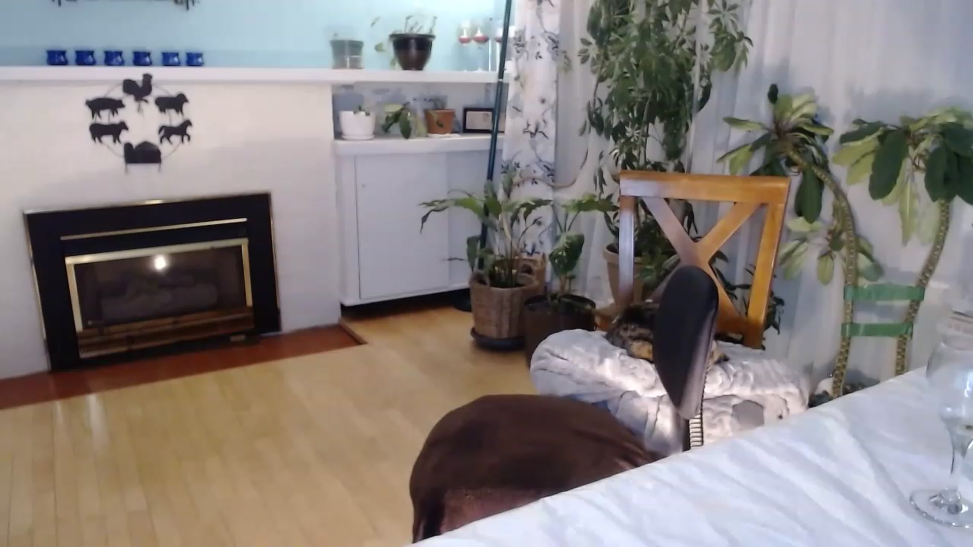 Gallery image thumbnail from KellyHeart's myfreecams stream on, 02/25/2023, 06:24 image 8 of 20