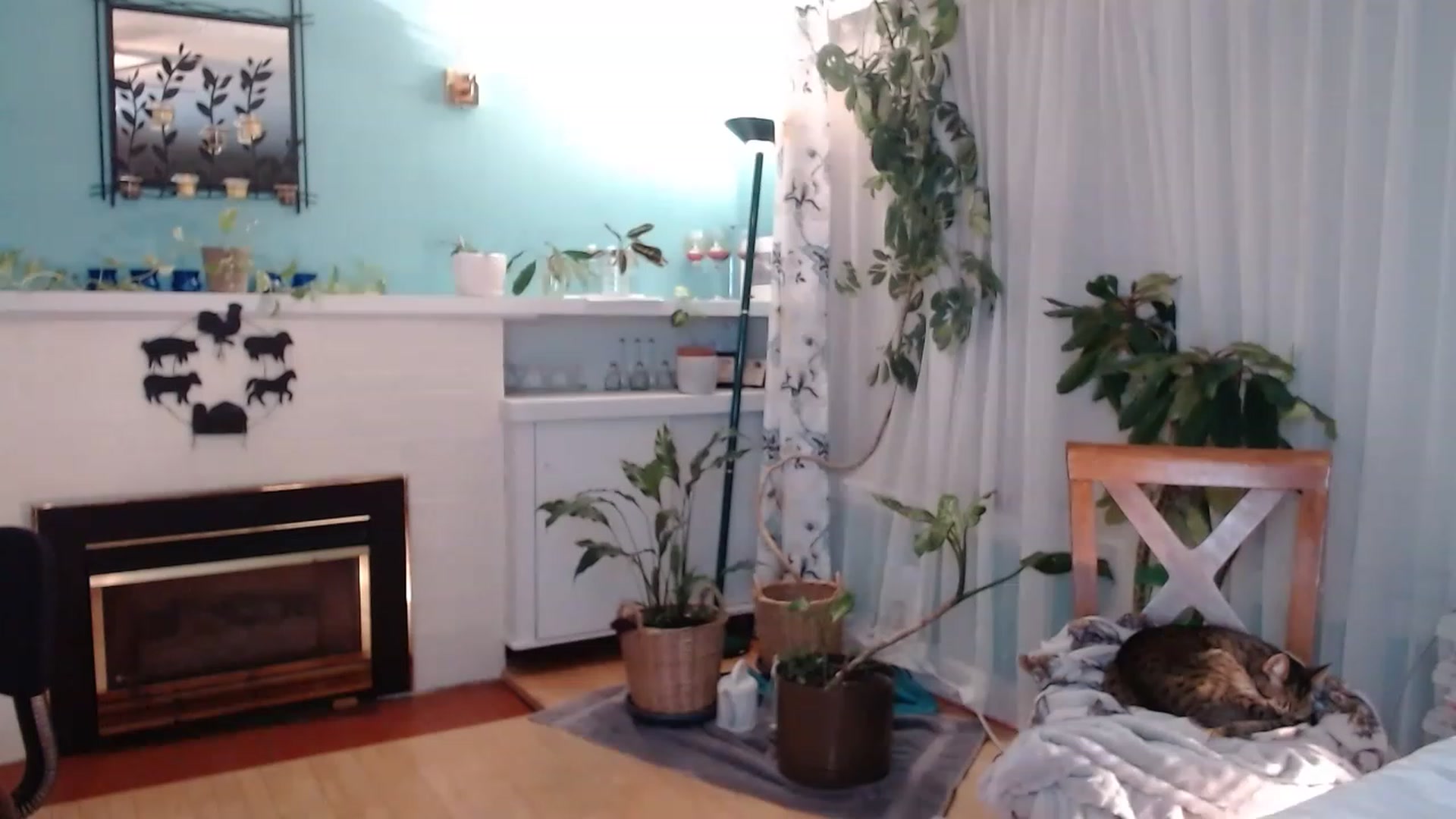 Gallery image thumbnail from KellyHeart's myfreecams stream on, 03/11/2023, 04:36 image 17 of 20