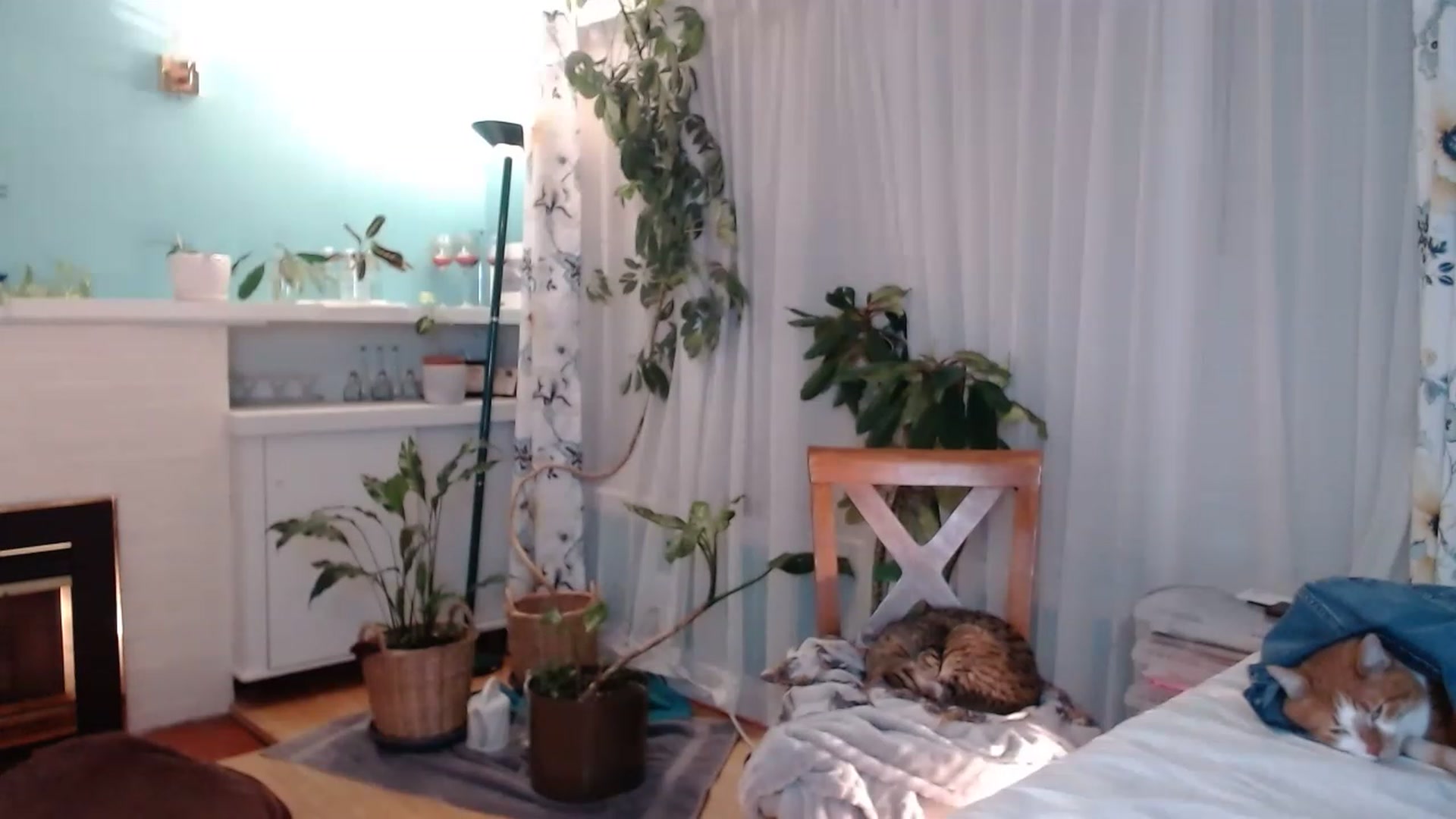 Gallery image thumbnail from KellyHeart's myfreecams stream on, 03/11/2023, 07:56 image 5 of 20