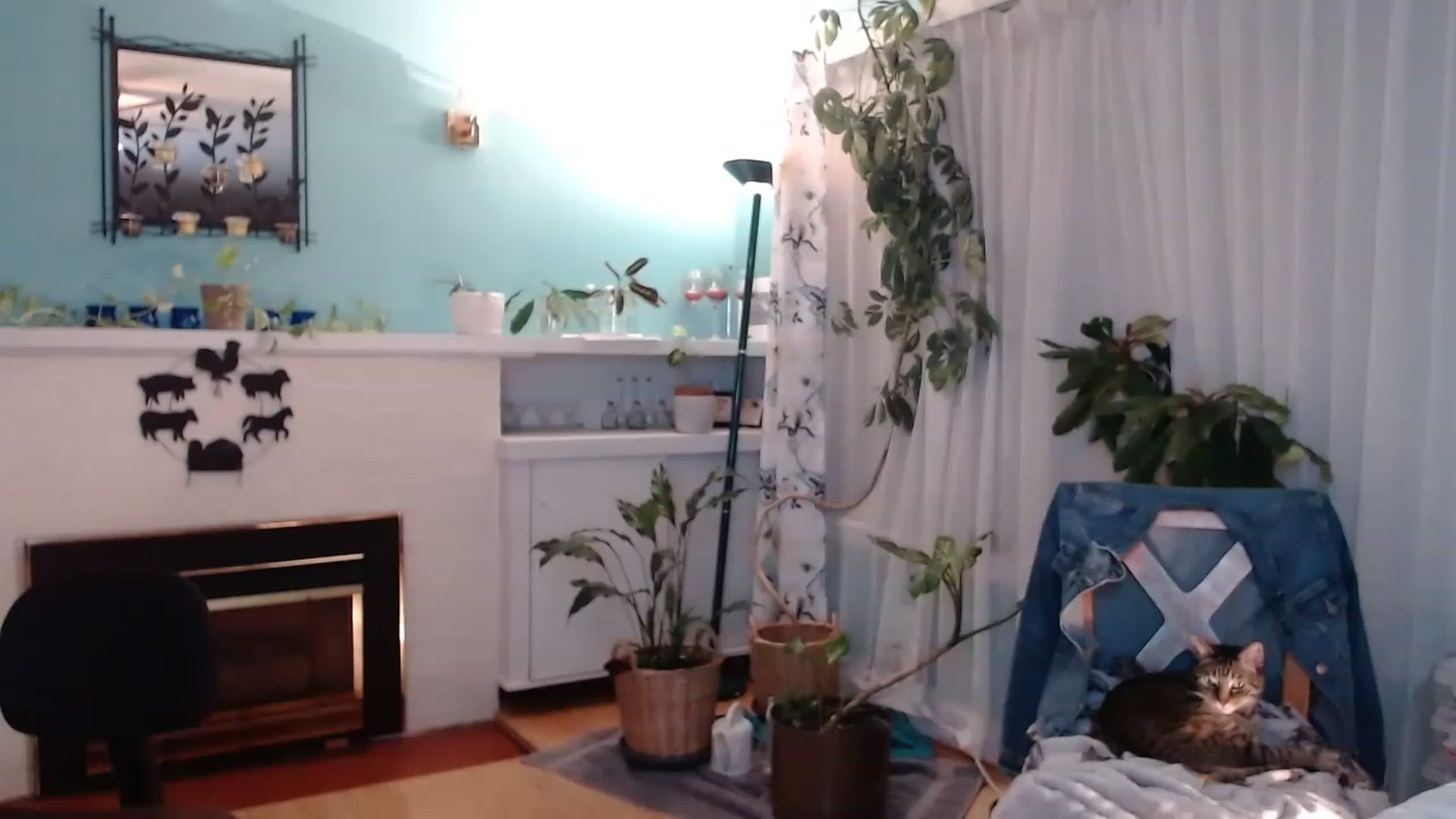 Gallery image thumbnail from KellyHeart's myfreecams stream on, 03/11/2023, 07:56 image 2 of 20