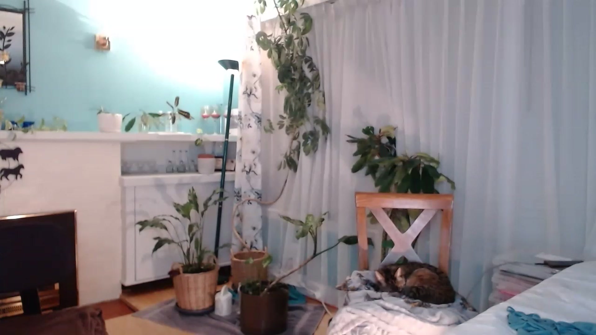 Gallery image thumbnail from KellyHeart's myfreecams stream on, 03/11/2023, 07:56 image 9 of 20