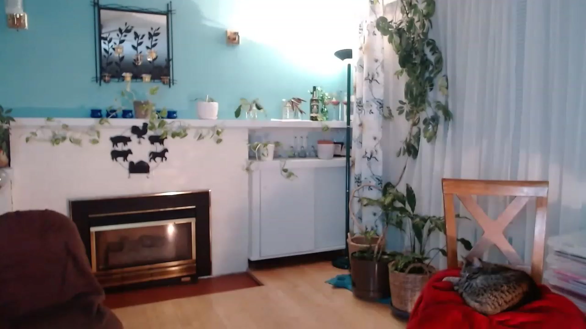 Gallery image thumbnail from KellyHeart's myfreecams stream on, 03/18/2023, 05:52 image 12 of 20