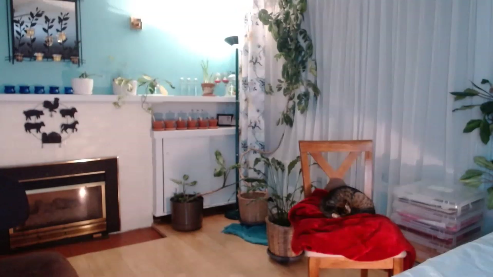 Gallery image thumbnail from KellyHeart's myfreecams stream on, 03/25/2023, 02:21 image 9 of 20