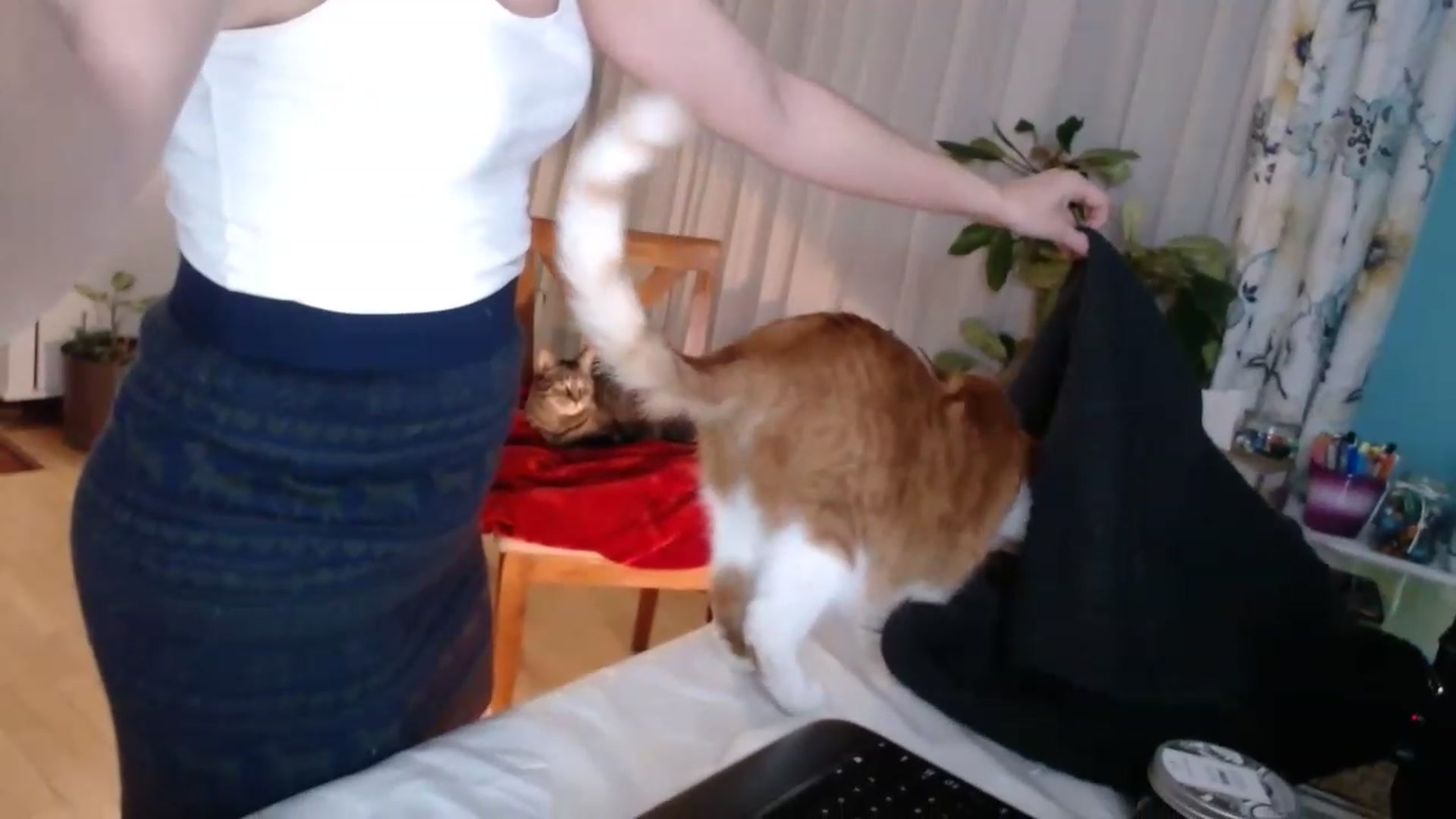 Gallery image thumbnail from KellyHeart's myfreecams stream on, 03/25/2023, 02:21 image 18 of 20