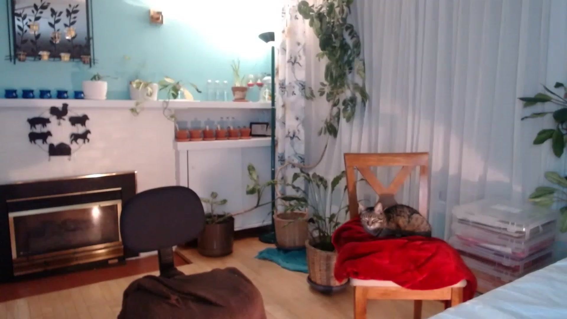 Gallery image thumbnail from KellyHeart's myfreecams stream on, 03/25/2023, 02:21 image 3 of 20
