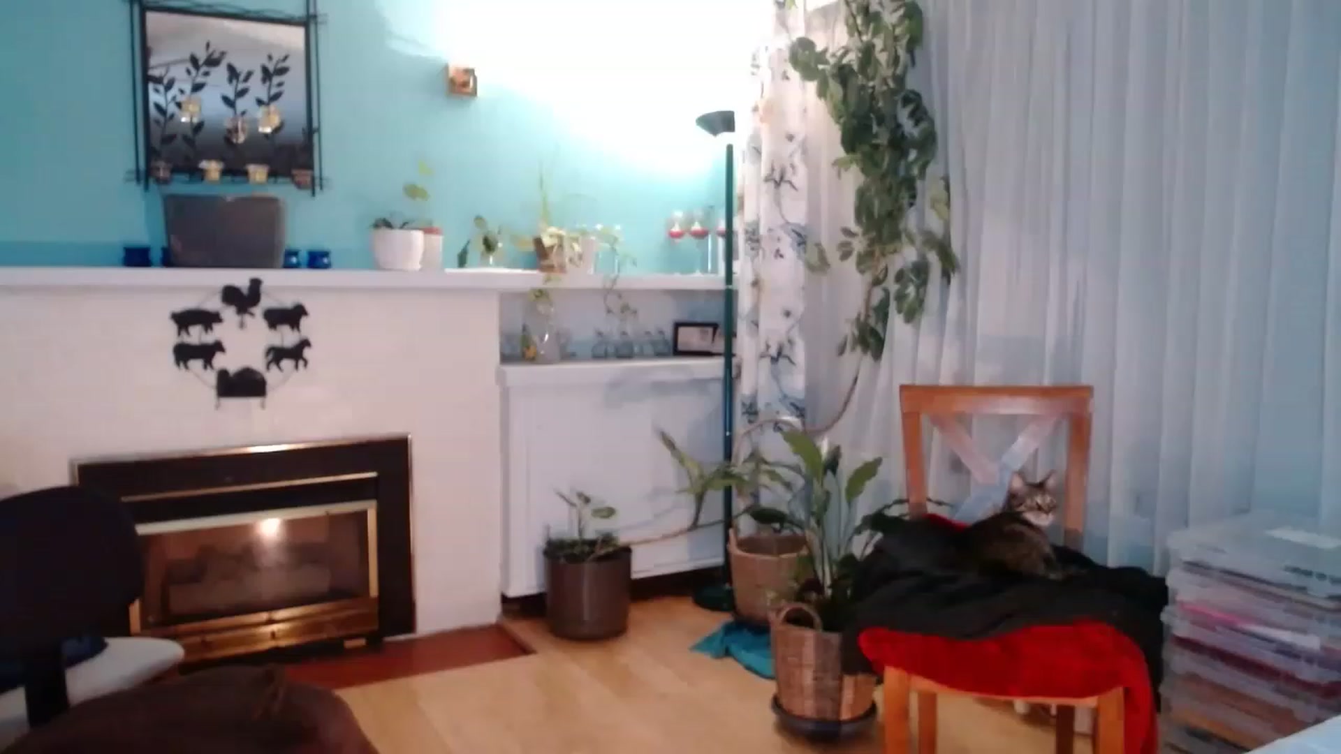 Gallery image thumbnail from KellyHeart's myfreecams stream on, 04/01/2023, 06:30 image 5 of 20