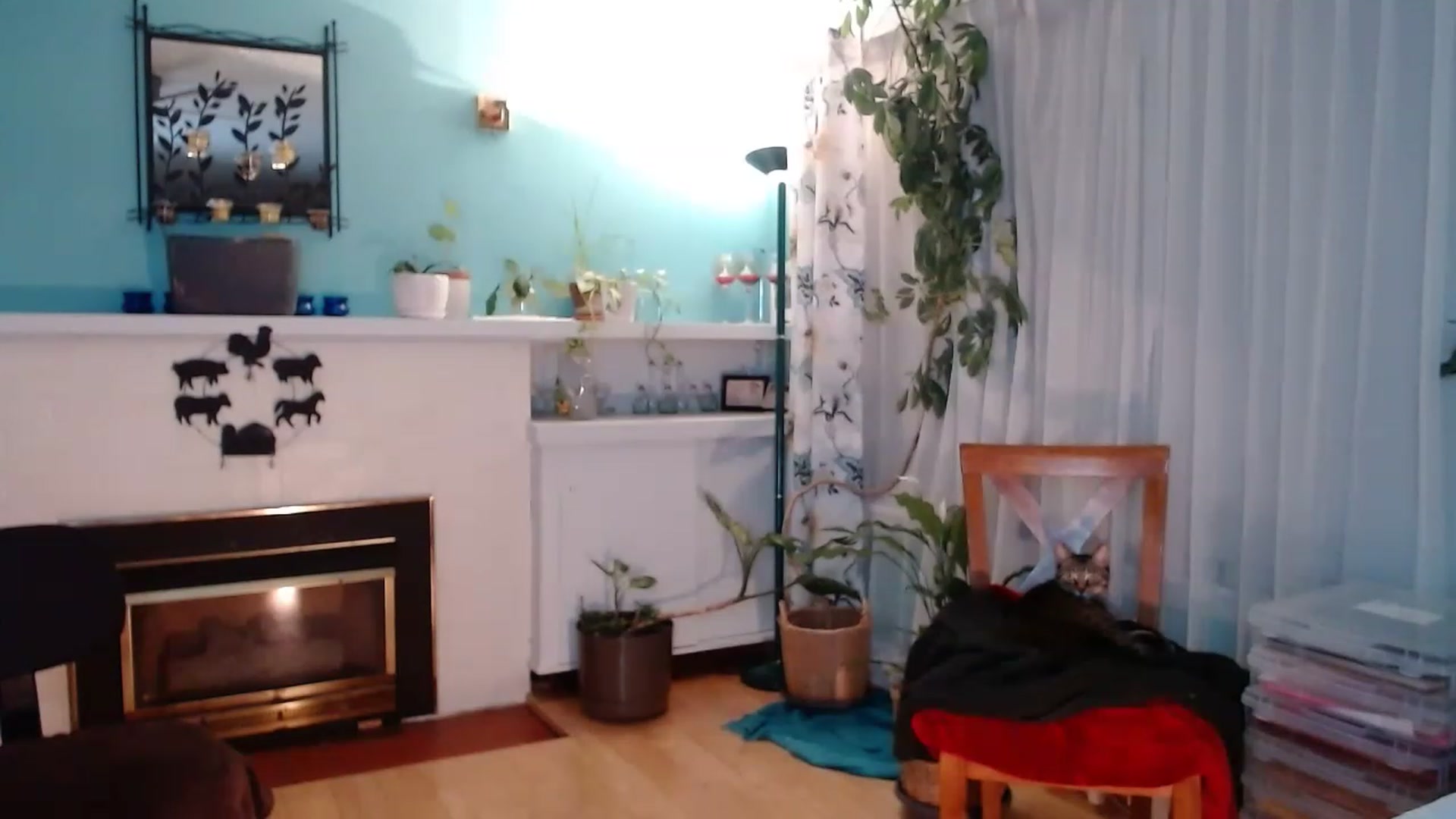 Gallery image thumbnail from KellyHeart's myfreecams stream on, 04/01/2023, 06:30 image 16 of 20