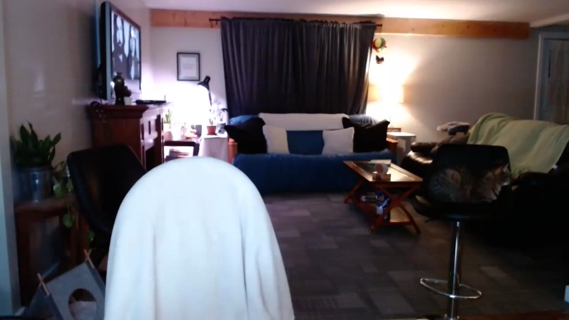Gallery image thumbnail from KellyHeart's myfreecams stream on, 05/14/2023, 03:27 image 3 of 20