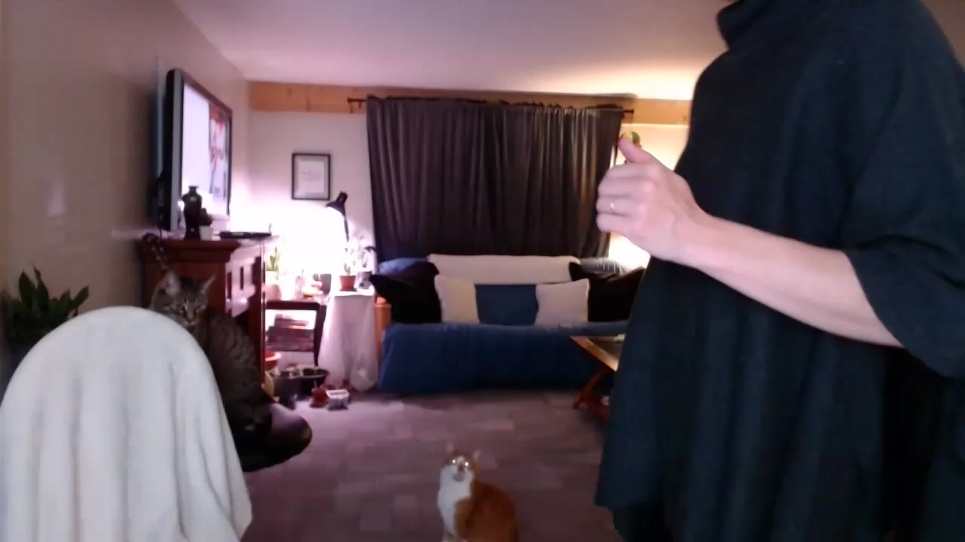 Gallery image thumbnail from KellyHeart's myfreecams stream on, 05/14/2023, 03:27 image 5 of 20
