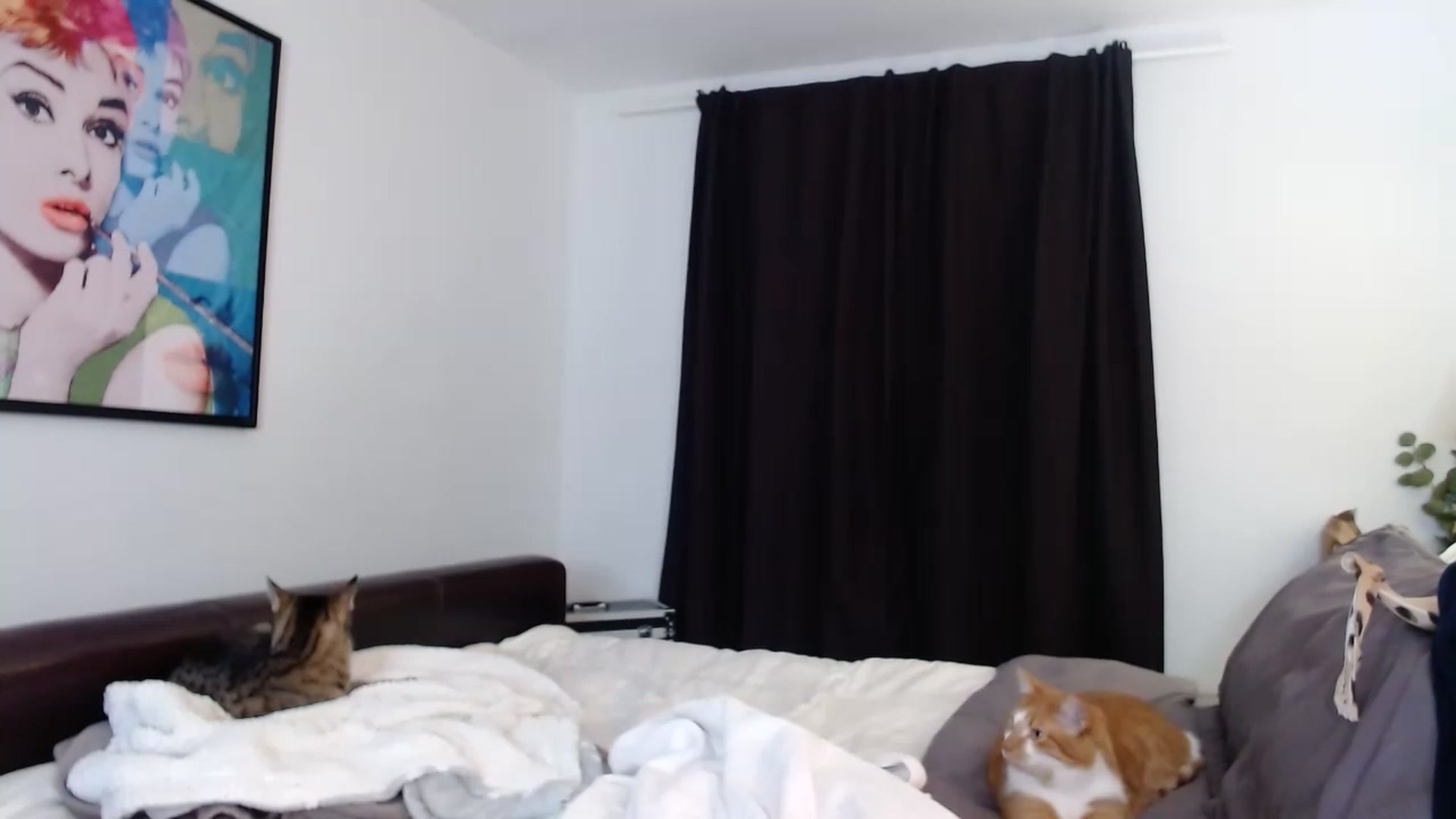 Gallery image thumbnail from KellyHeart's myfreecams stream on, 05/20/2023, 04:14 image 7 of 20