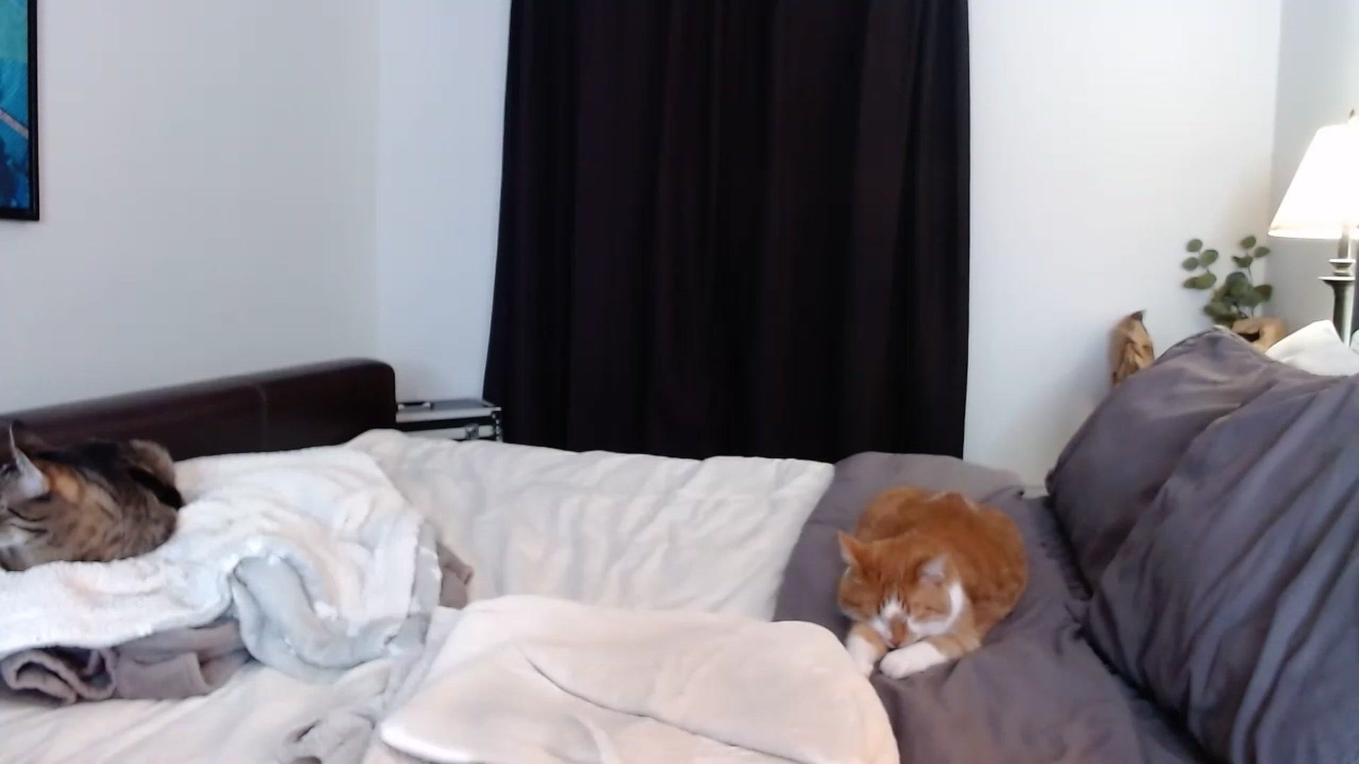 Gallery image thumbnail from KellyHeart's myfreecams stream on, 05/20/2023, 04:14 image 4 of 20