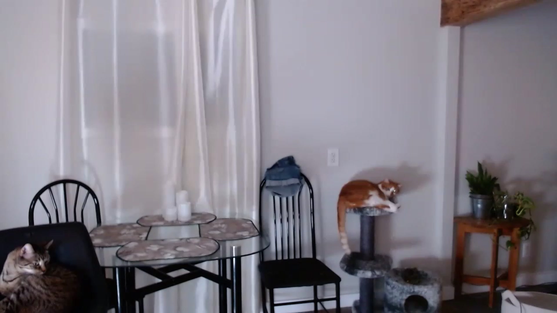 Gallery image thumbnail from KellyHeart's myfreecams stream on, 06/24/2023, 03:07 image 14 of 20