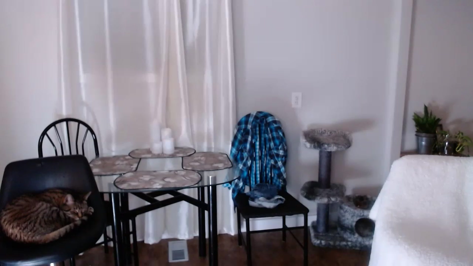 Gallery image thumbnail from KellyHeart's myfreecams stream on, 06/24/2023, 05:14 image 6 of 20
